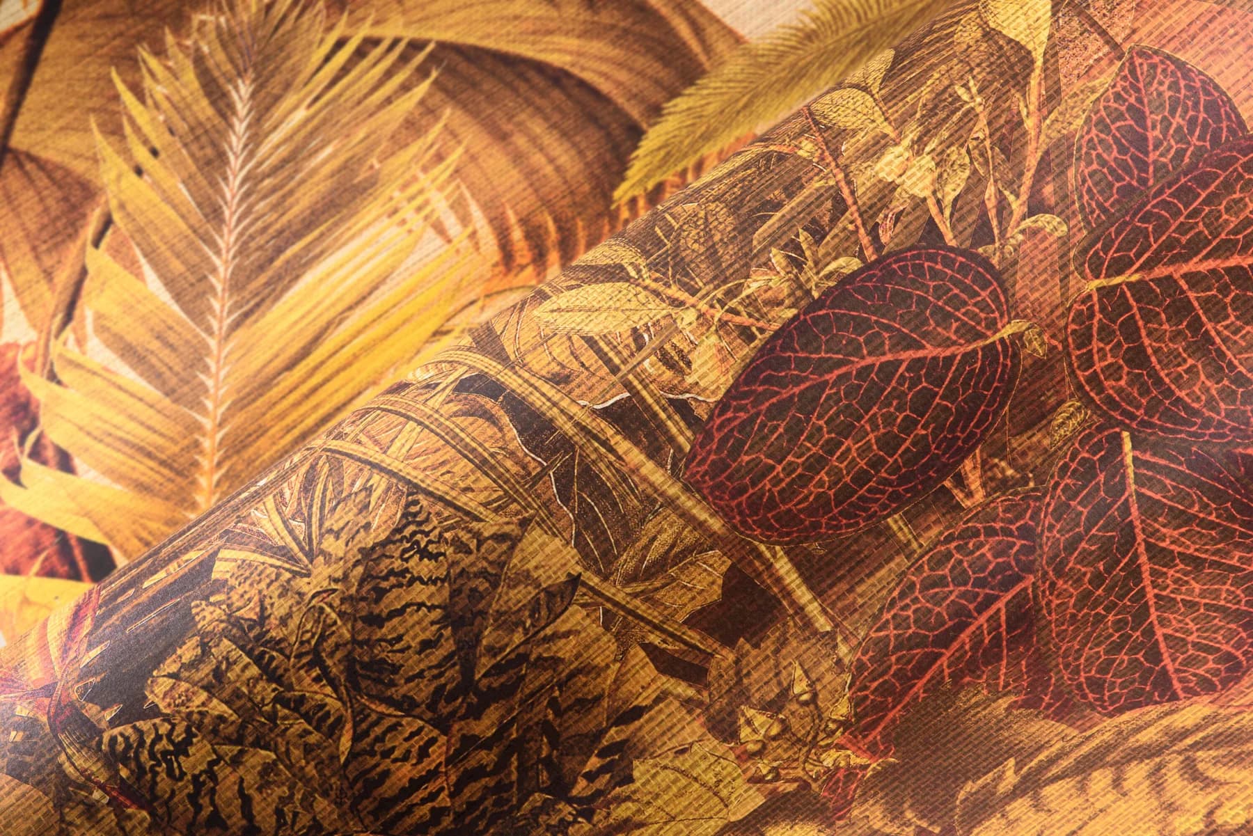 Arte R\u00eaverie Tropicale 3