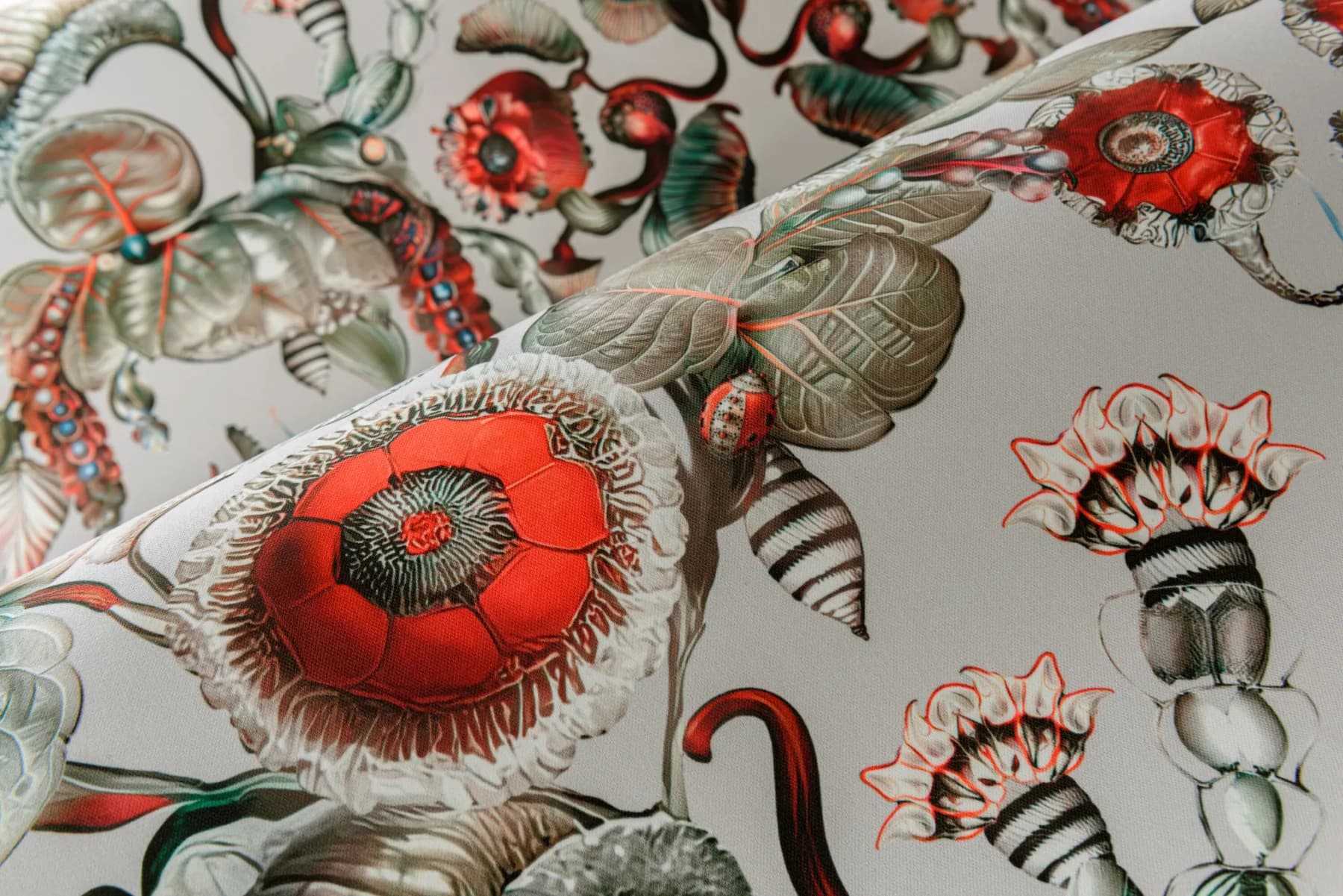 Arte Coccinella Bella 5
