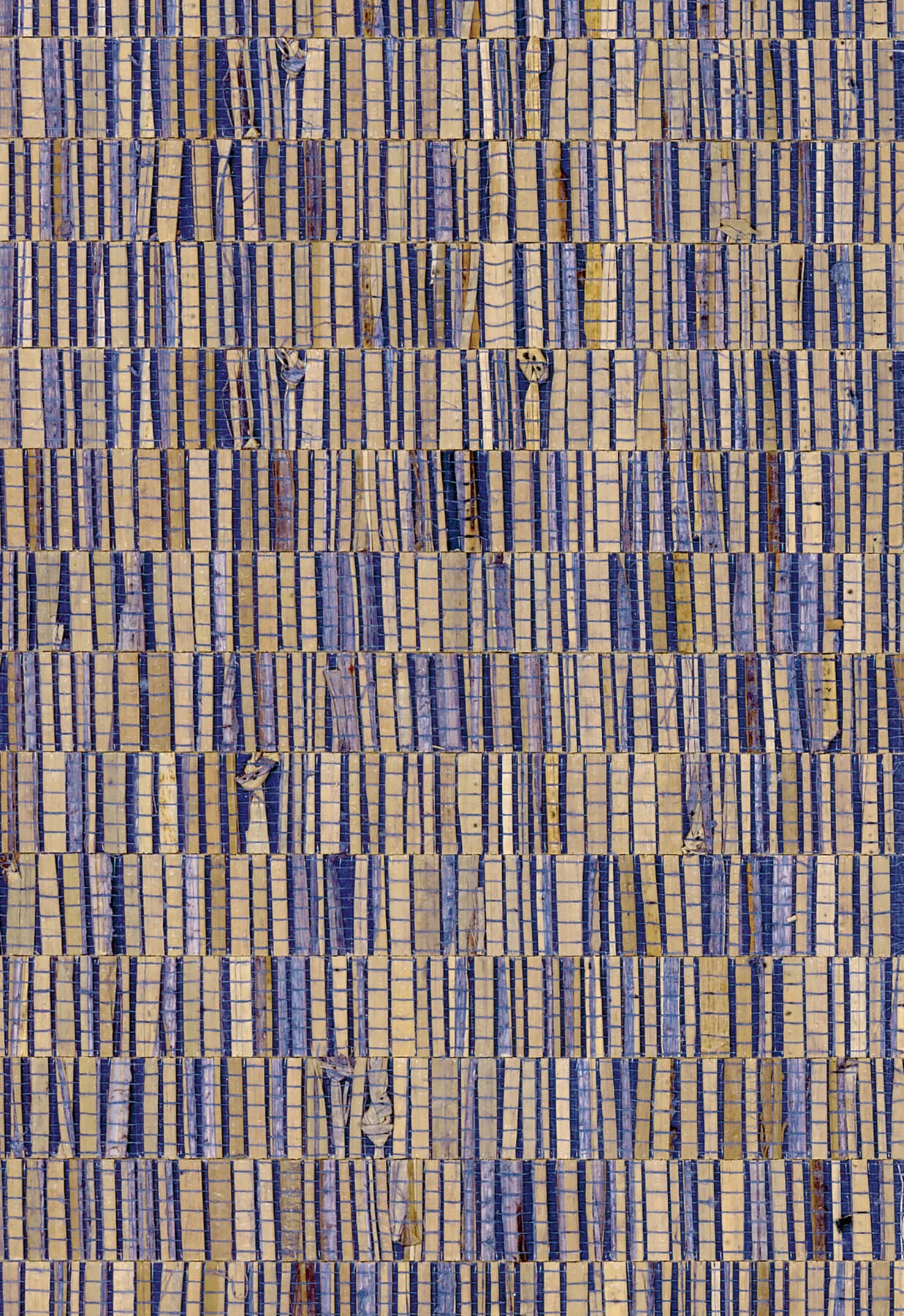 Arte Fringe 6