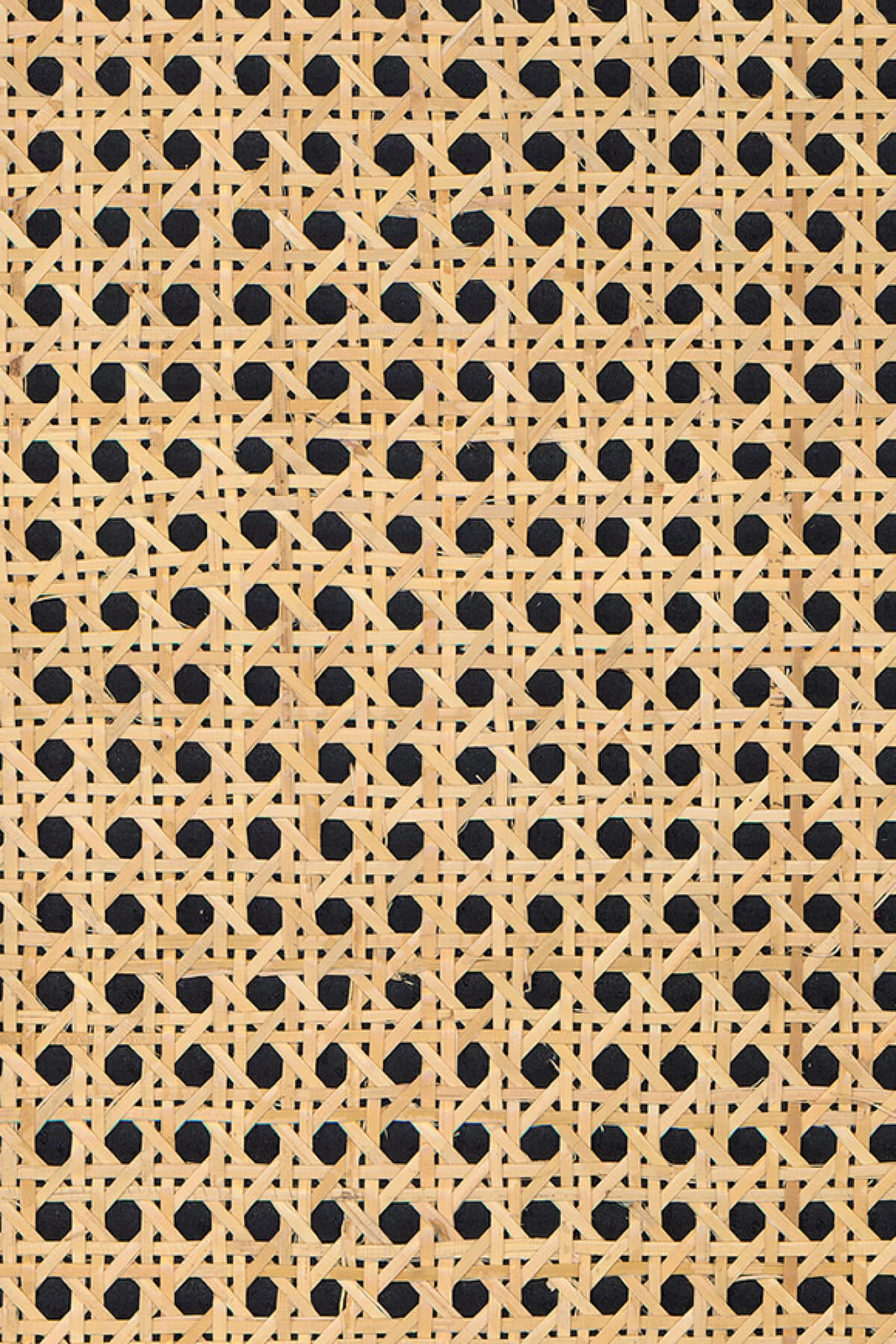 Arte Rattan 2