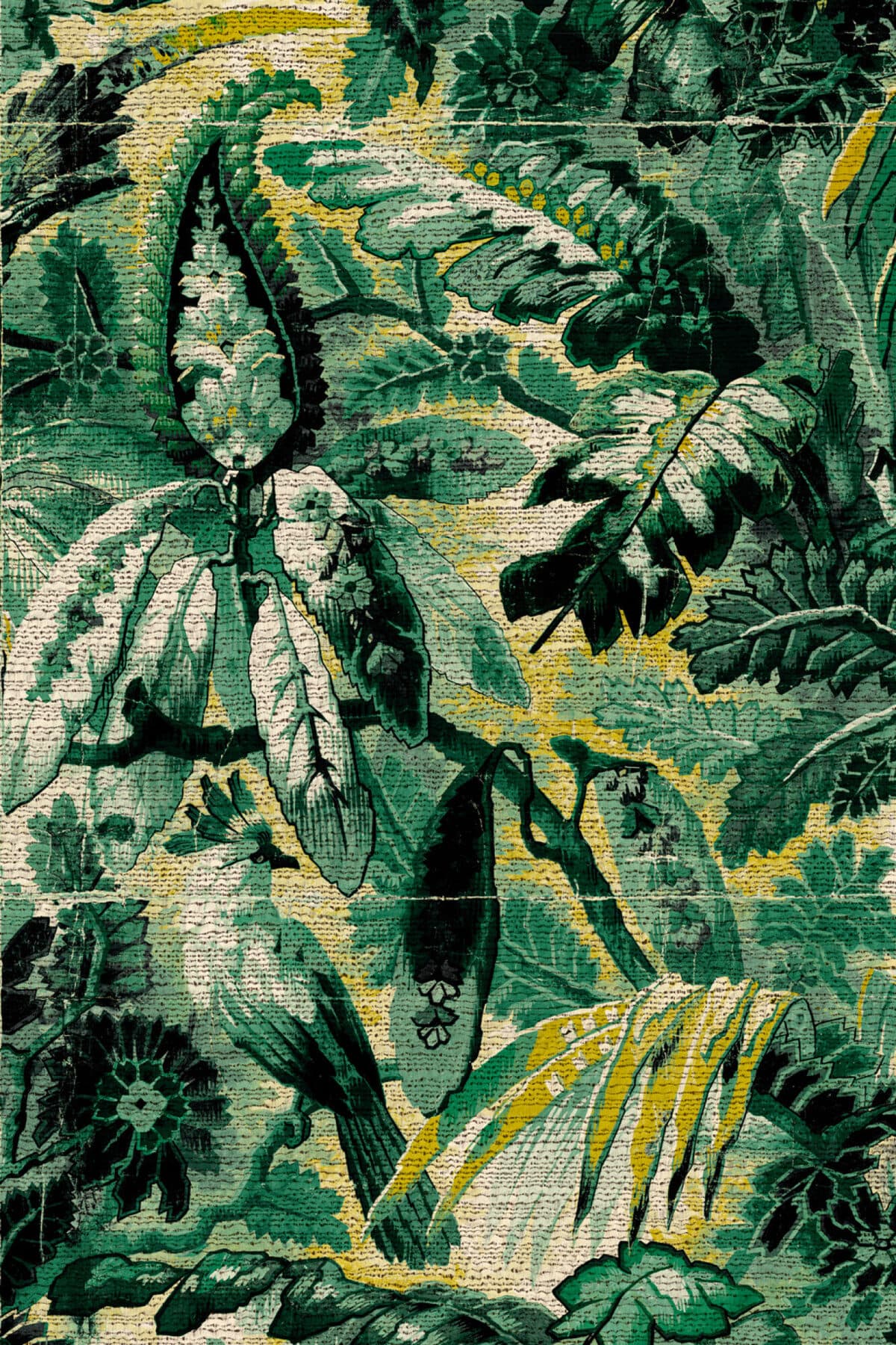 Antigua