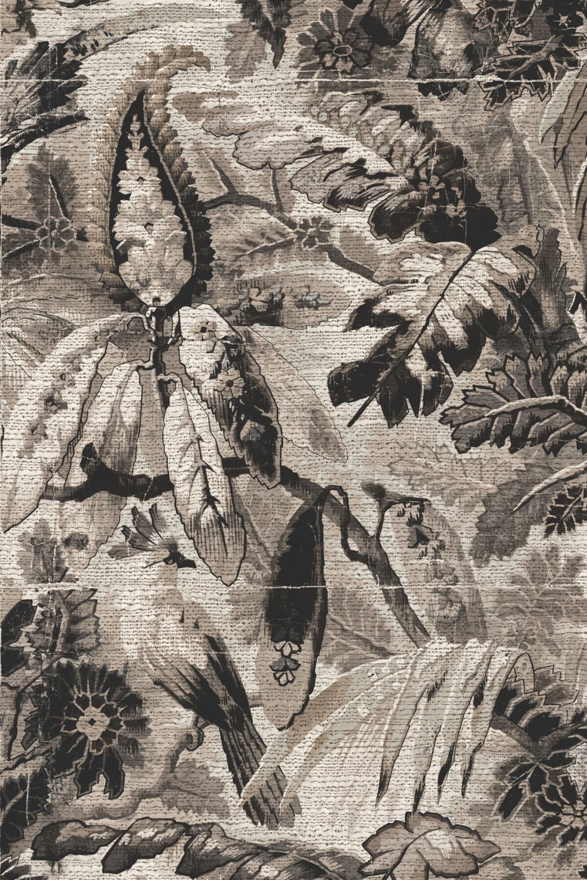 Arte Tropicali 5