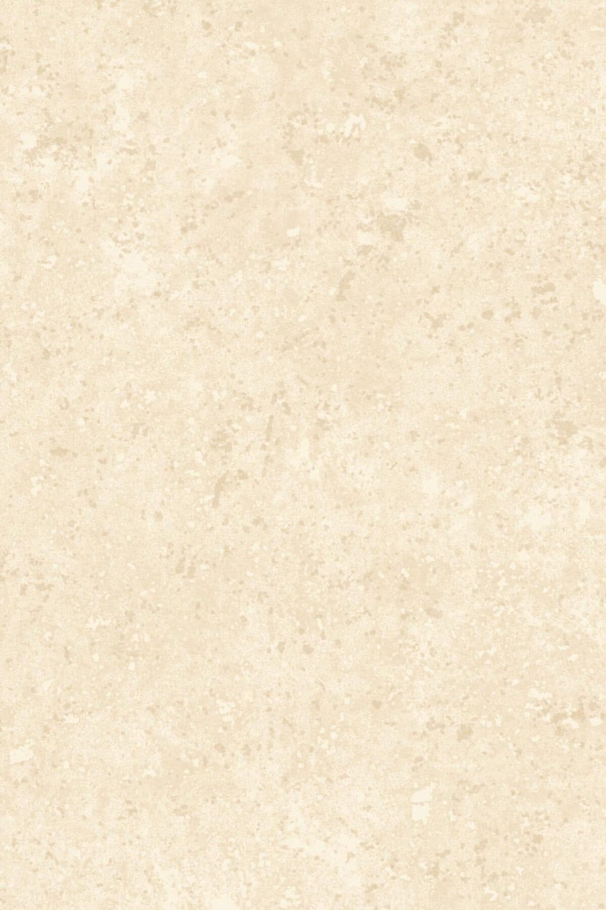 Arte Calcaire Stucco 11