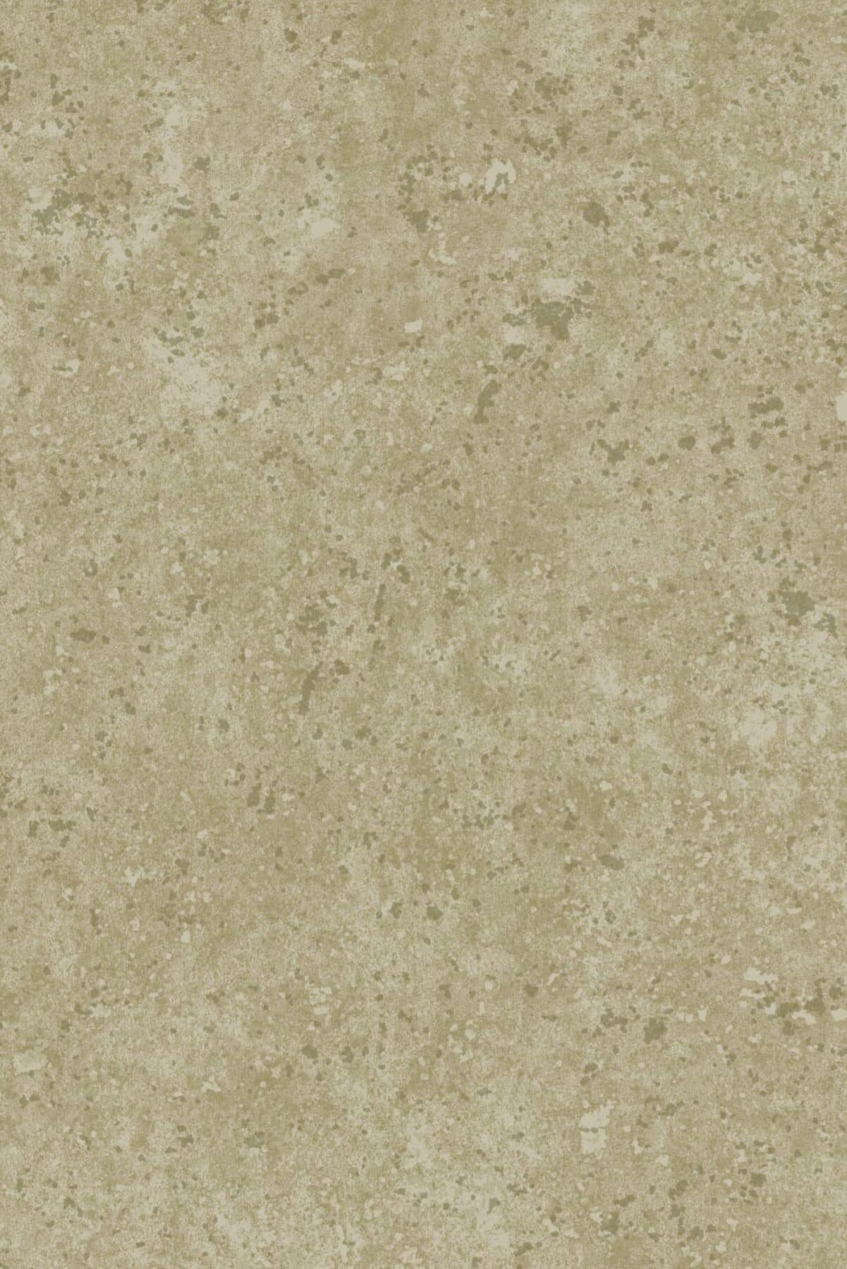 Arte Calcaire Stucco 15