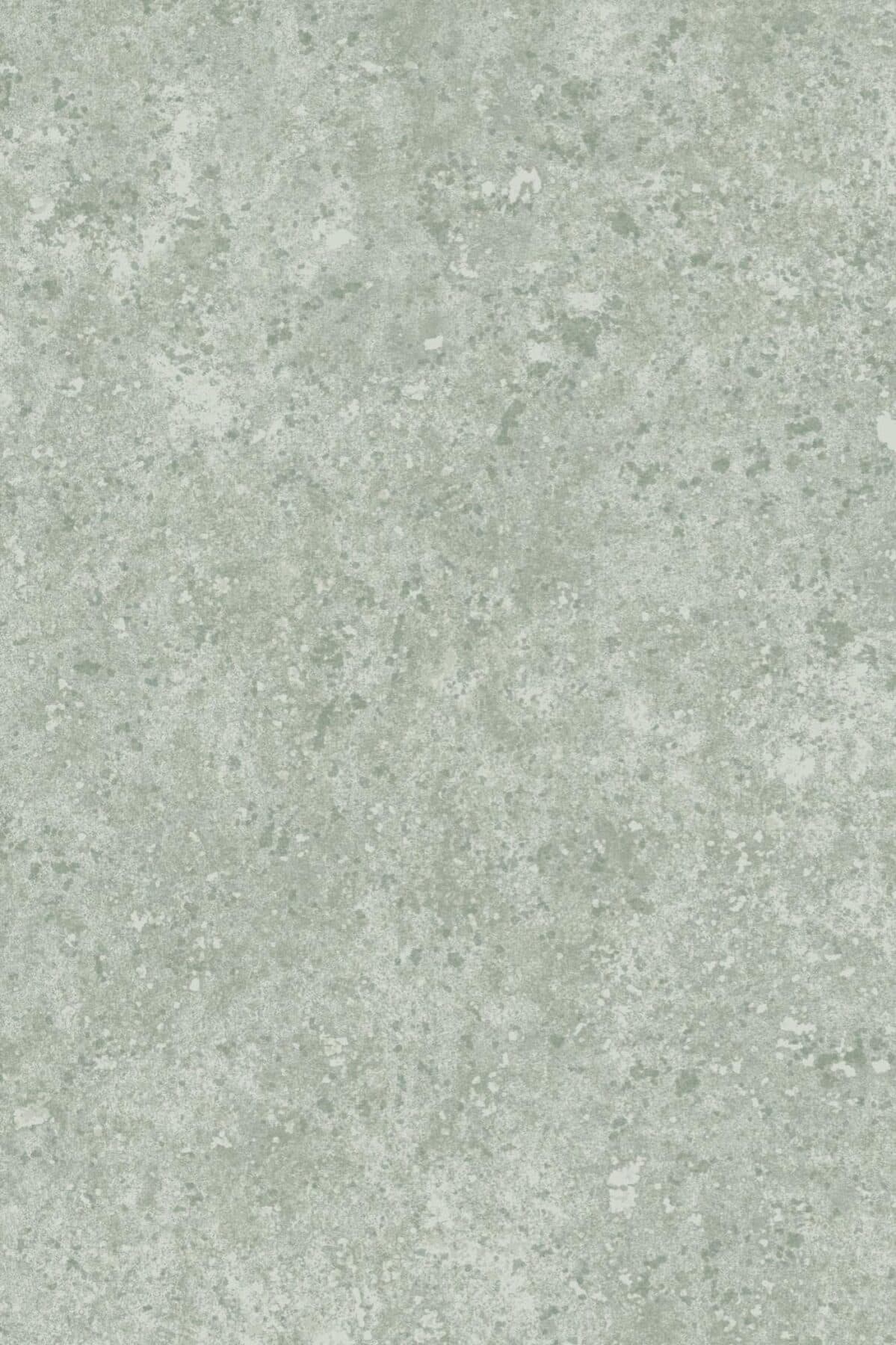 Arte Calcaire Stucco 17