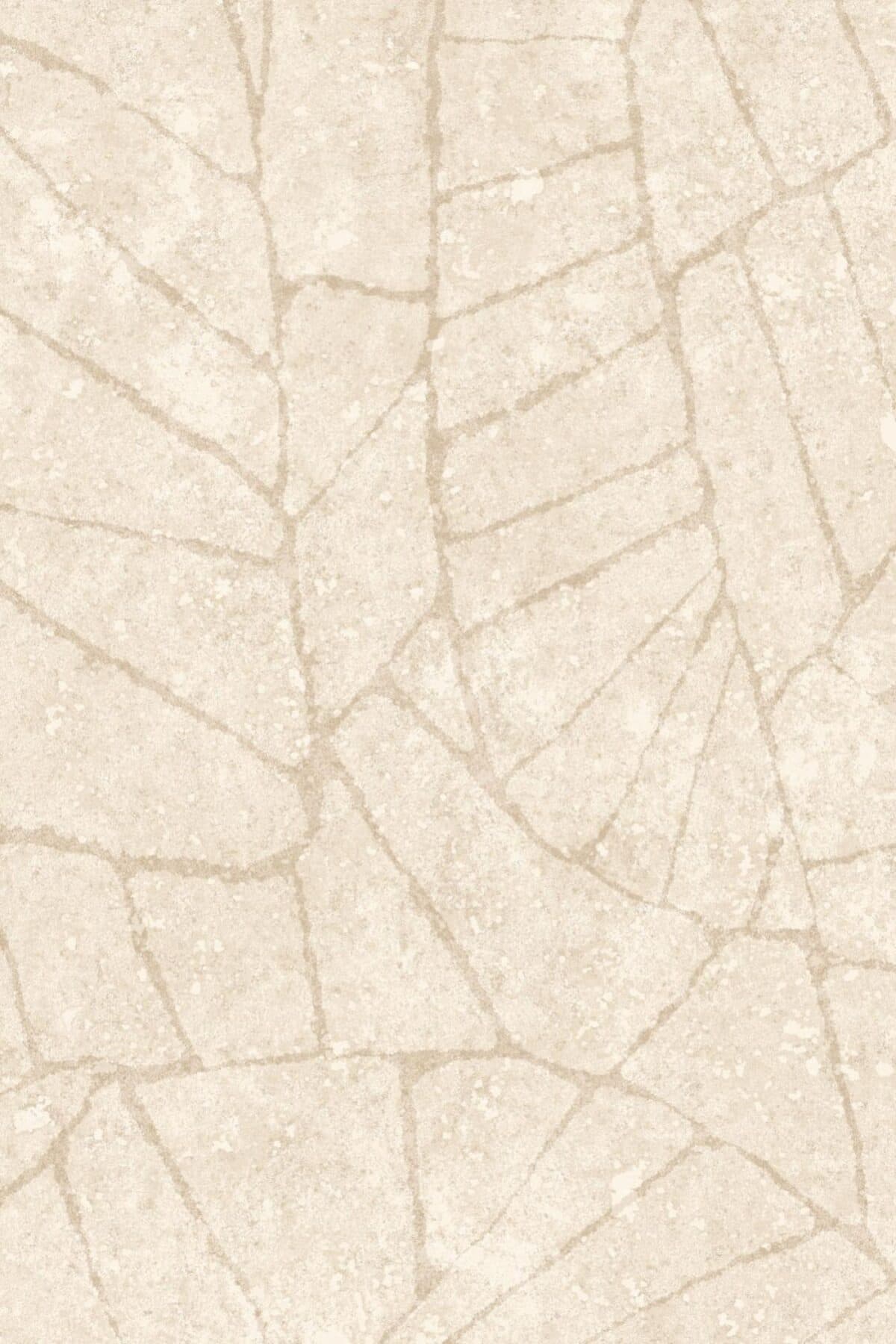 Arte Fragment