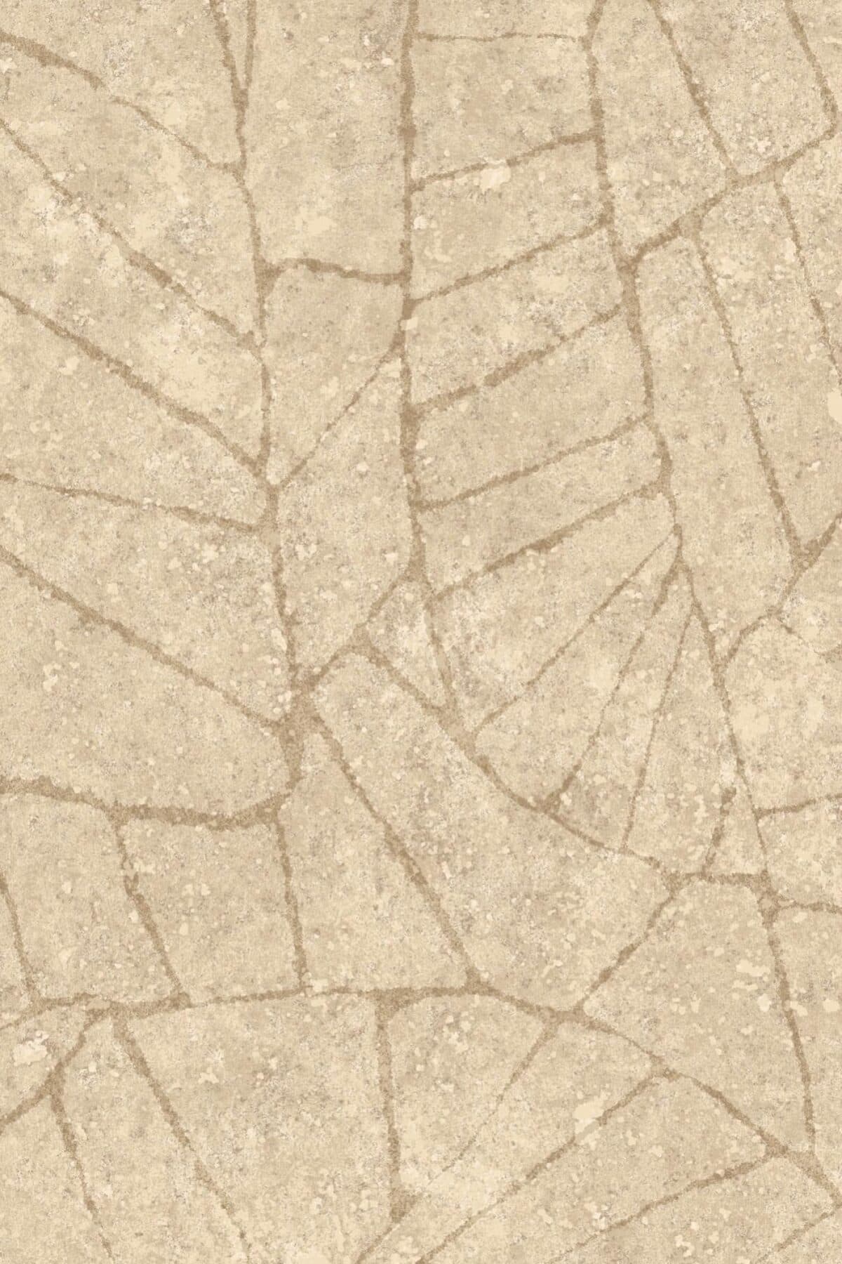 Arte Fragment 3