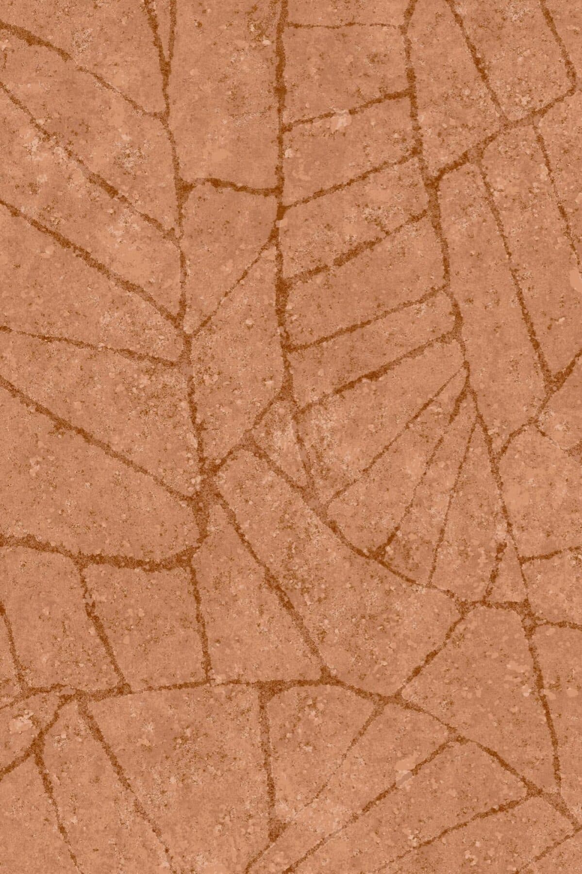 Arte Fragment 5