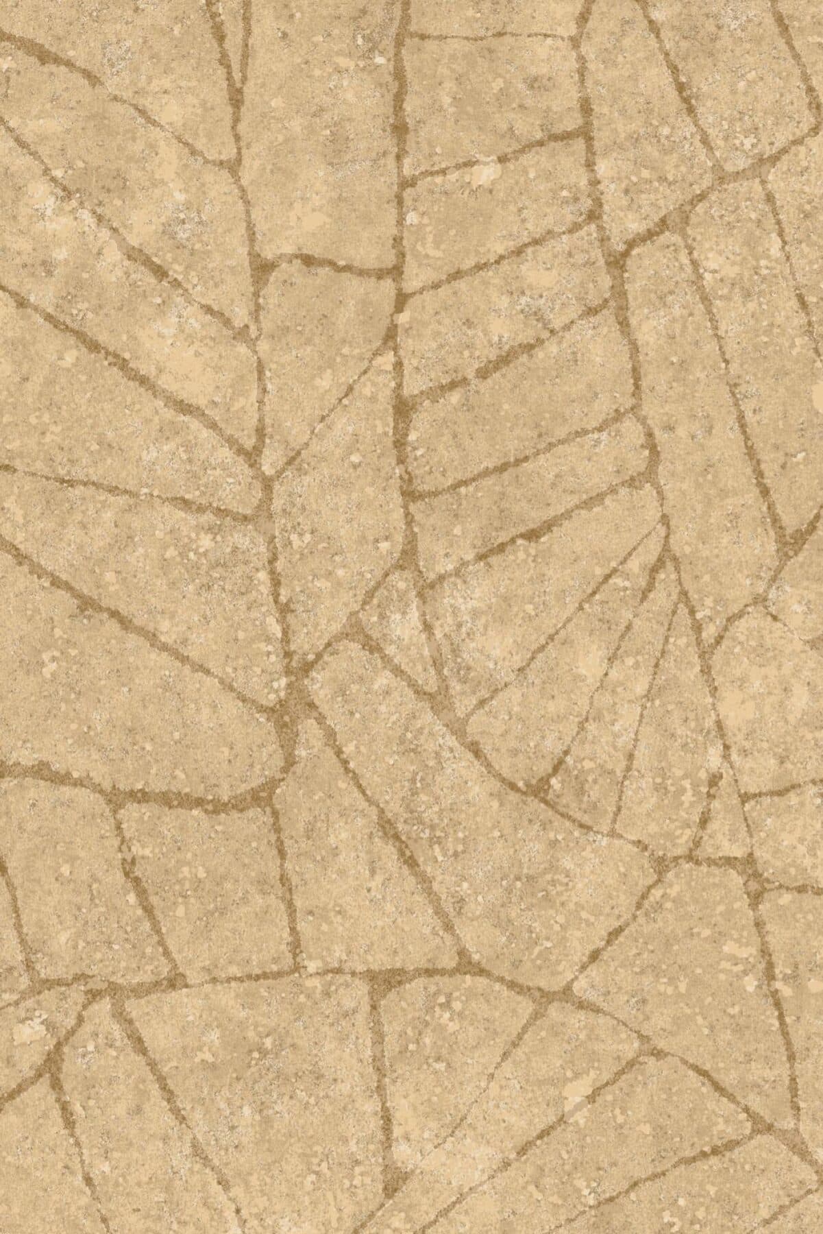 Arte Fragment 6