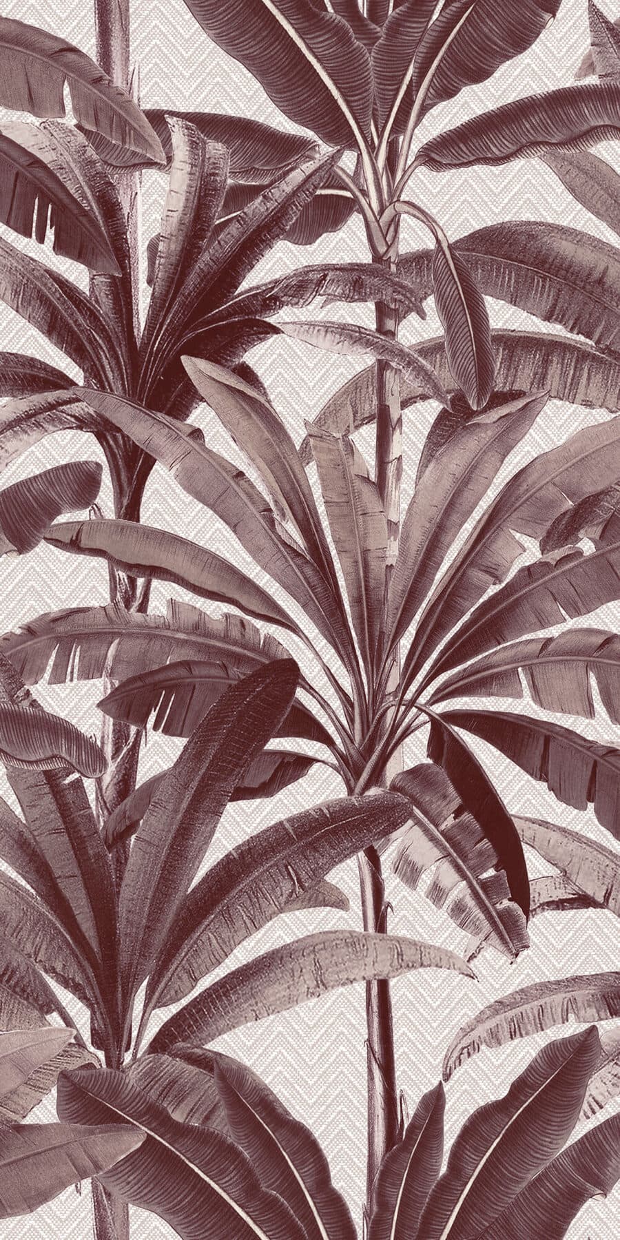 Arte Palmera 2