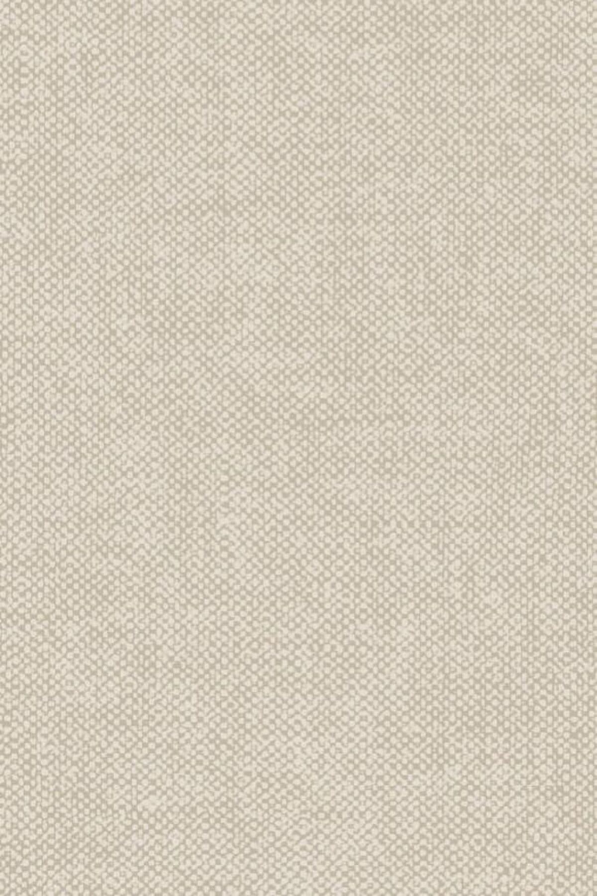 Arte Lin 17