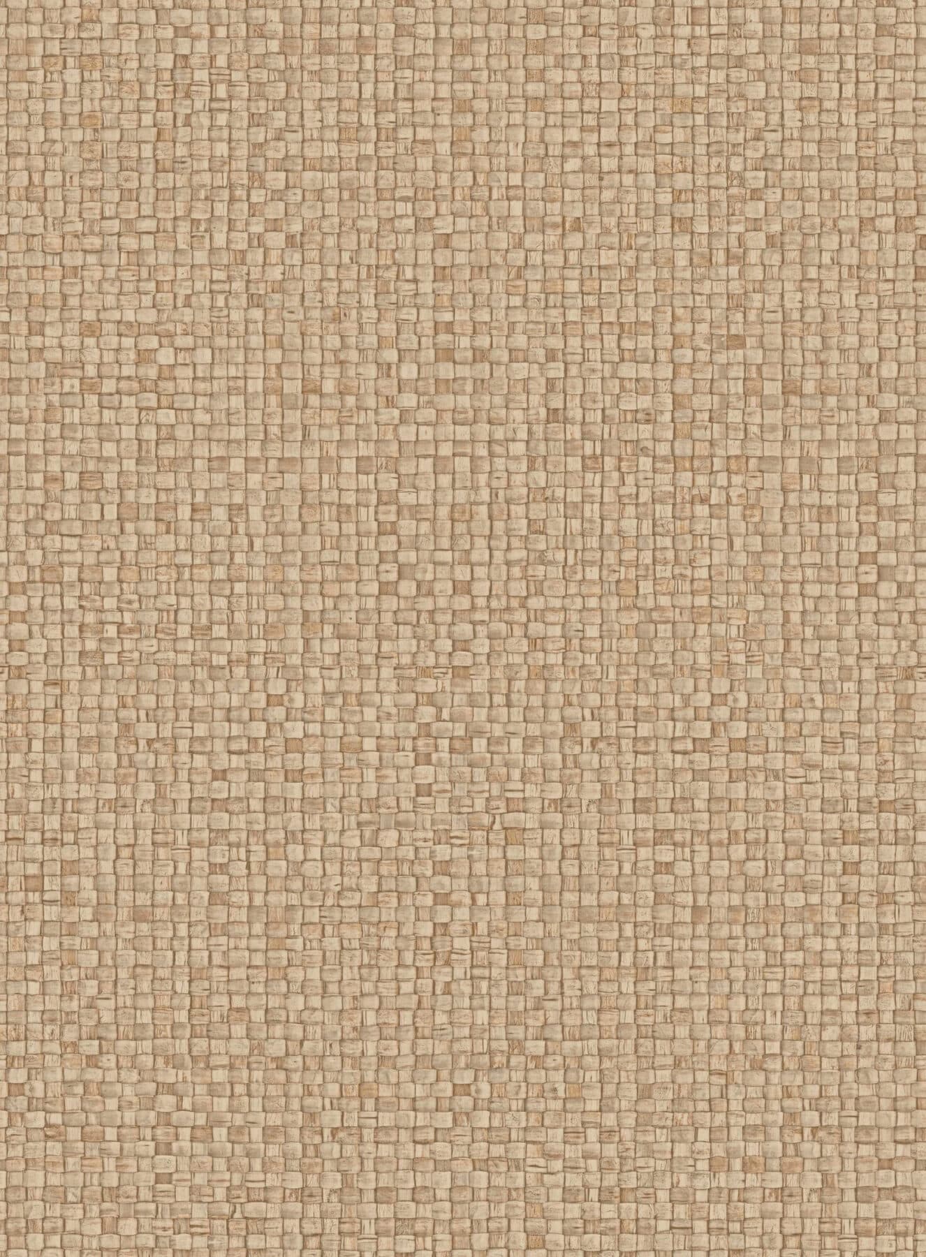 Arte Puna 4