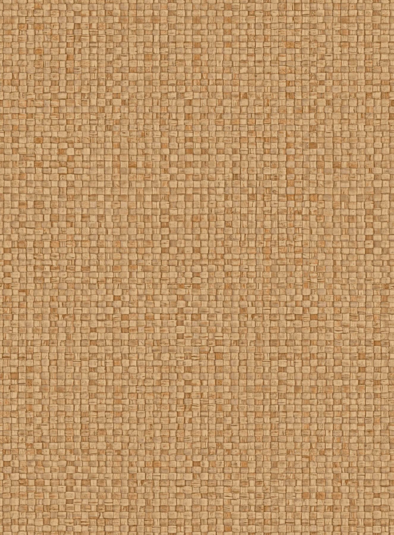 Arte Puna 6