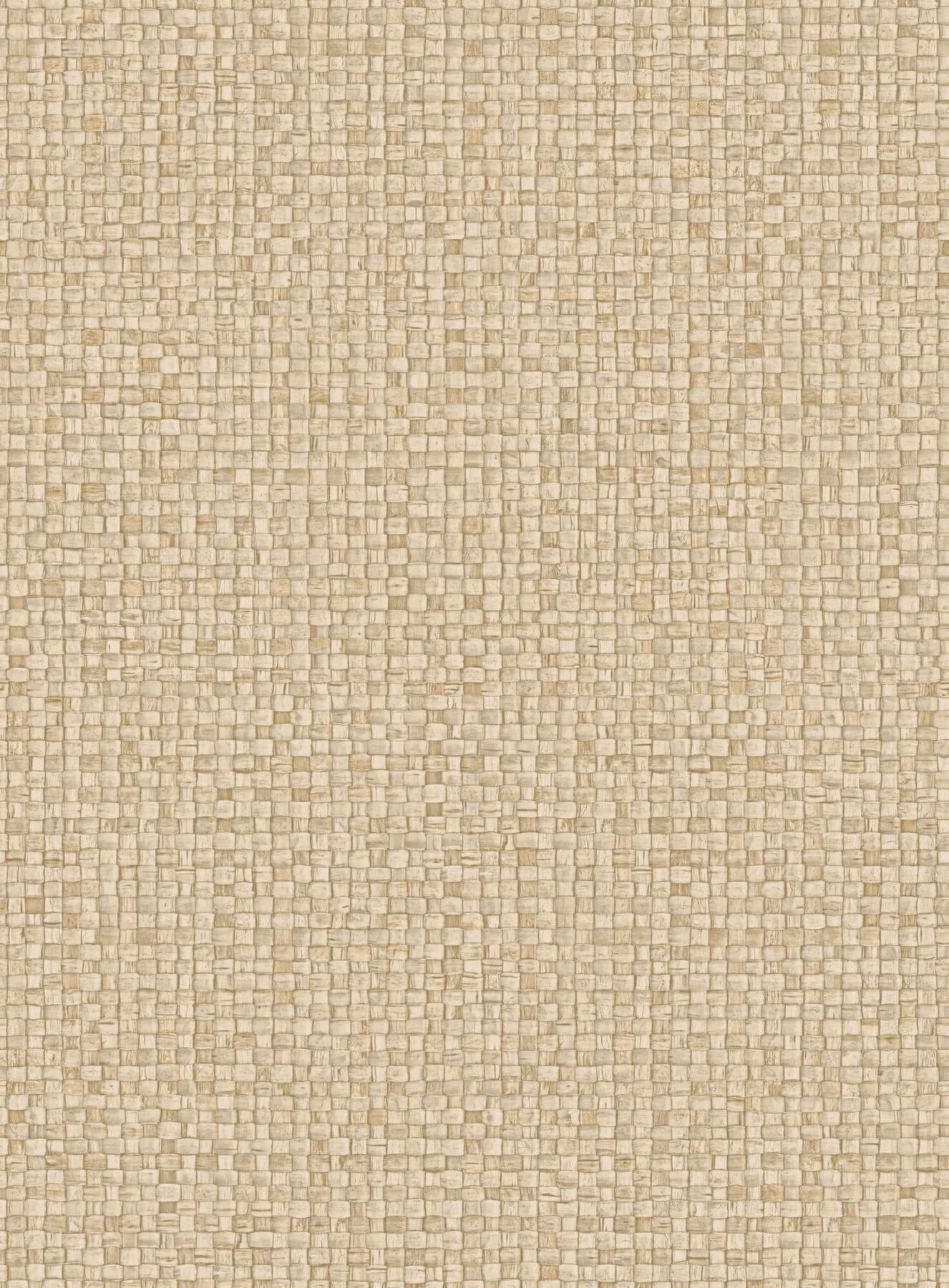 Arte Puna 8