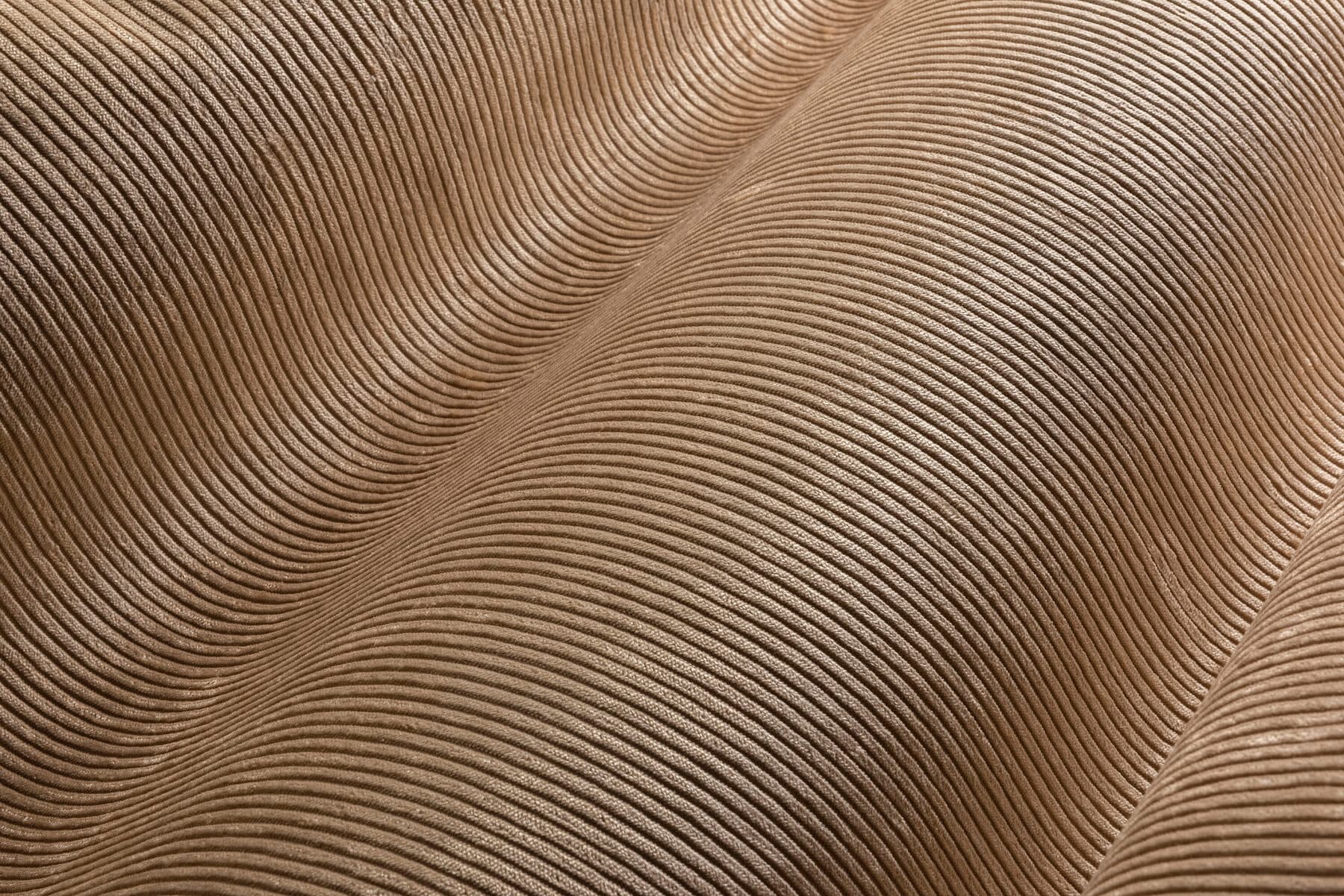 Arte Corduroy 3