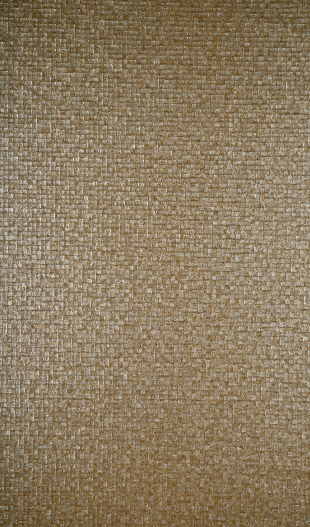 Arte Mosaic