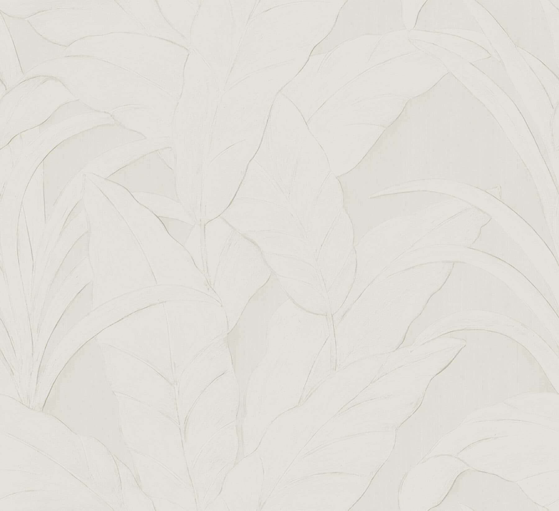 Arte Musa 5