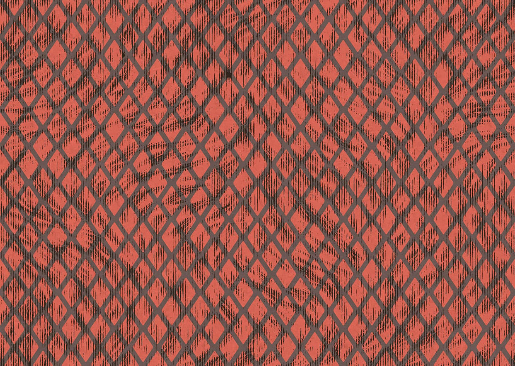 Arte Aristo Quagga 4
