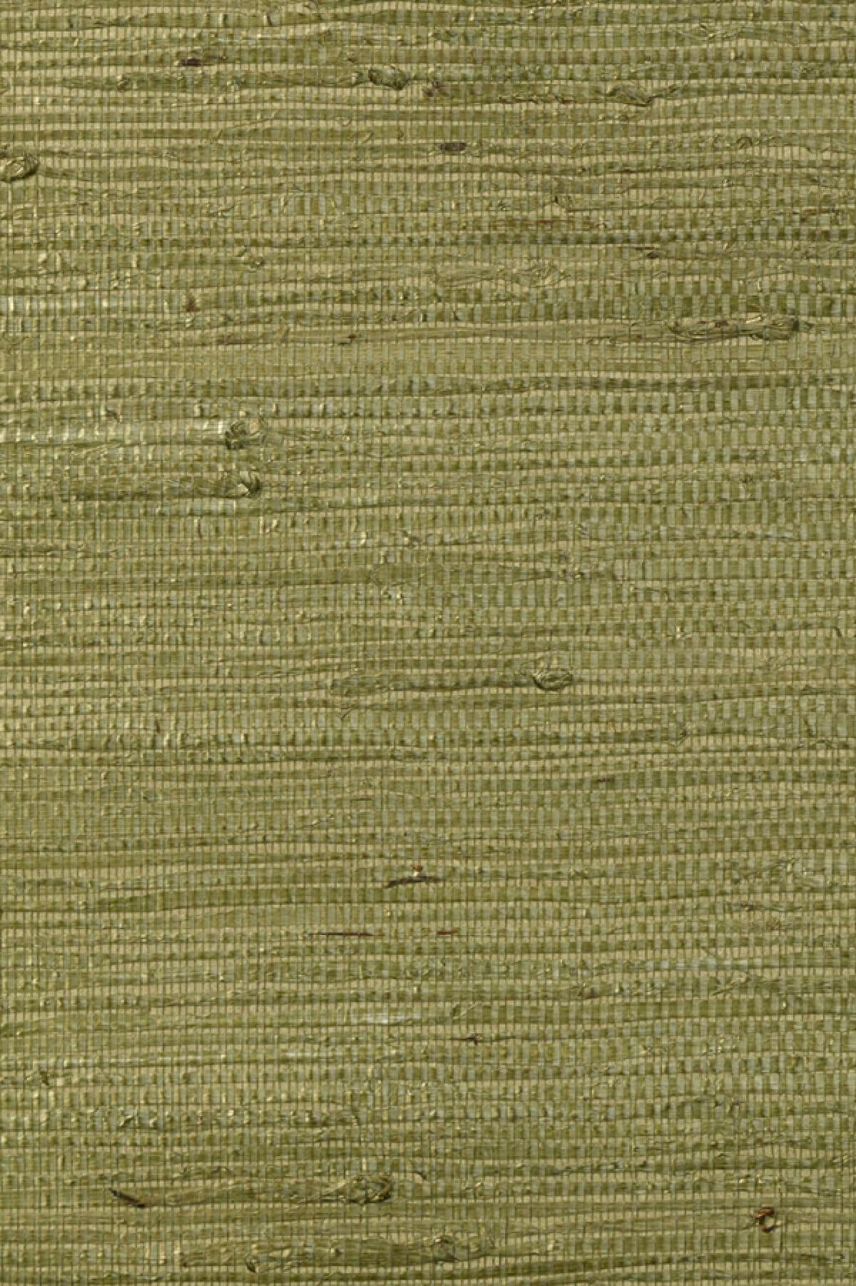 Arte Kudzu