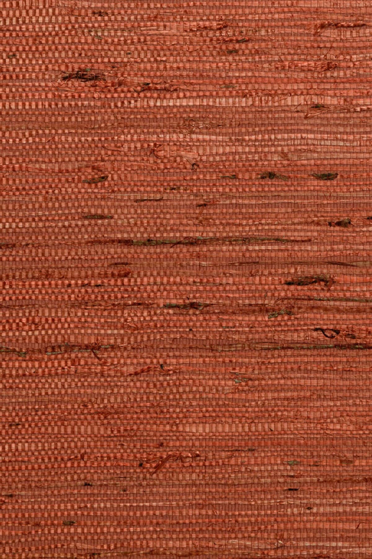 Arte Kudzu 9