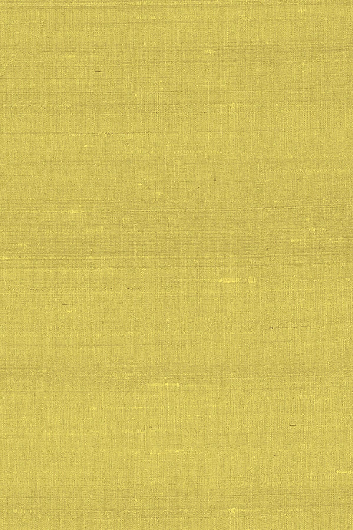 Arte Latus 8
