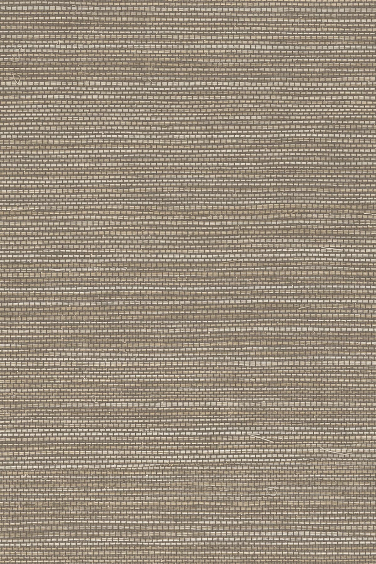 Arte Marsh 5