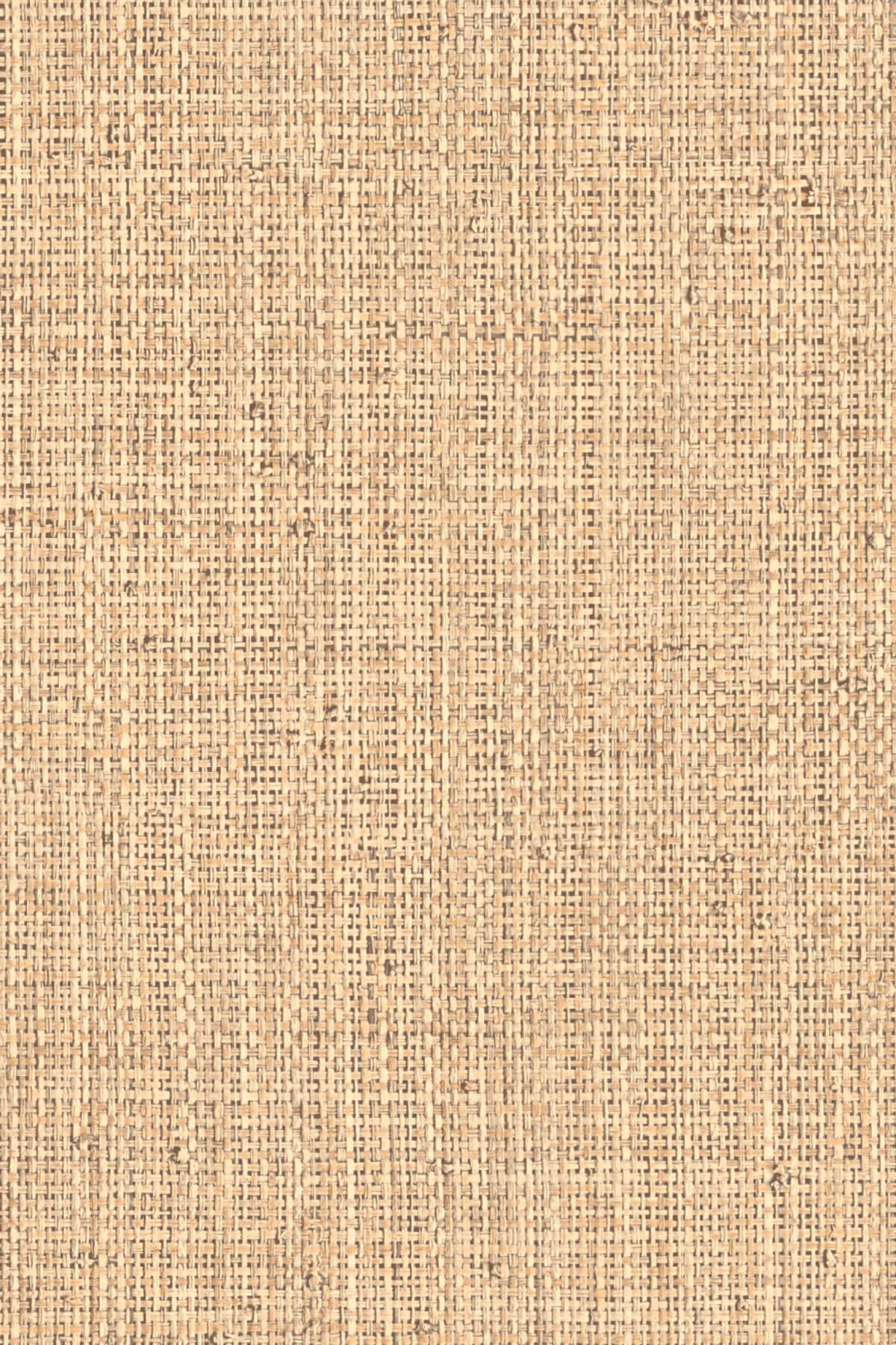 Arte Nongo 3