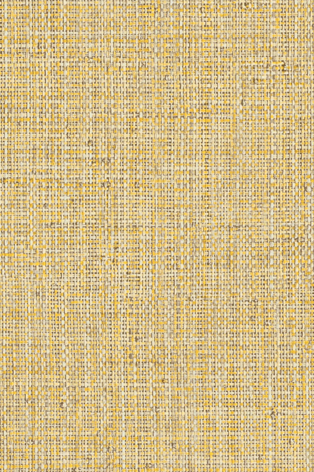 Arte Nongo 4
