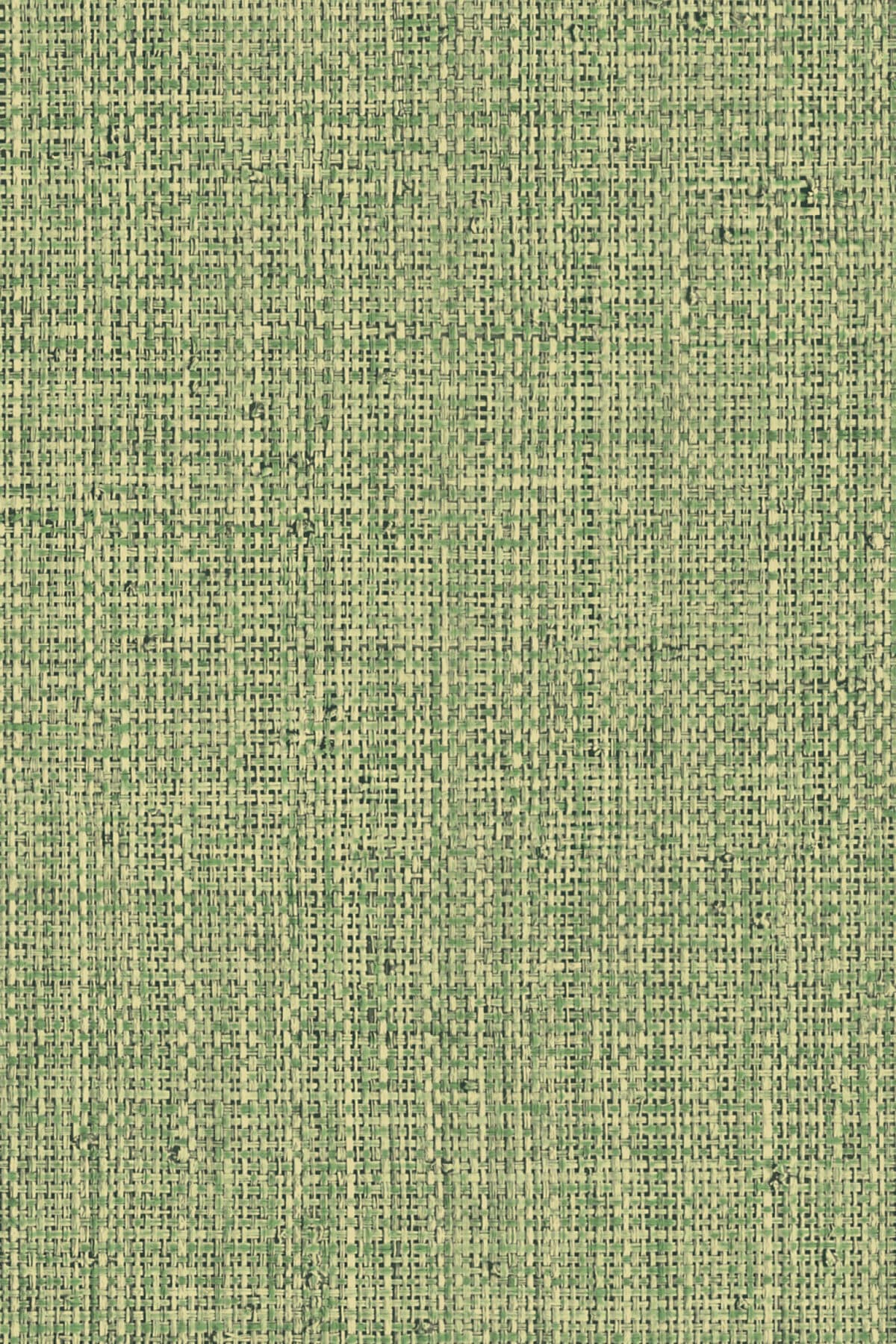 Arte Nongo 6