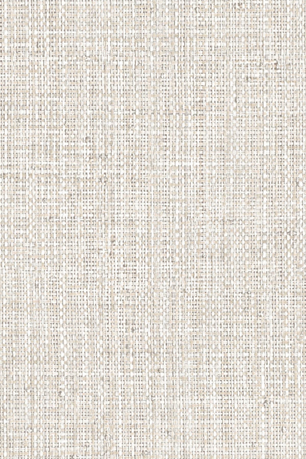 Arte Nongo 8