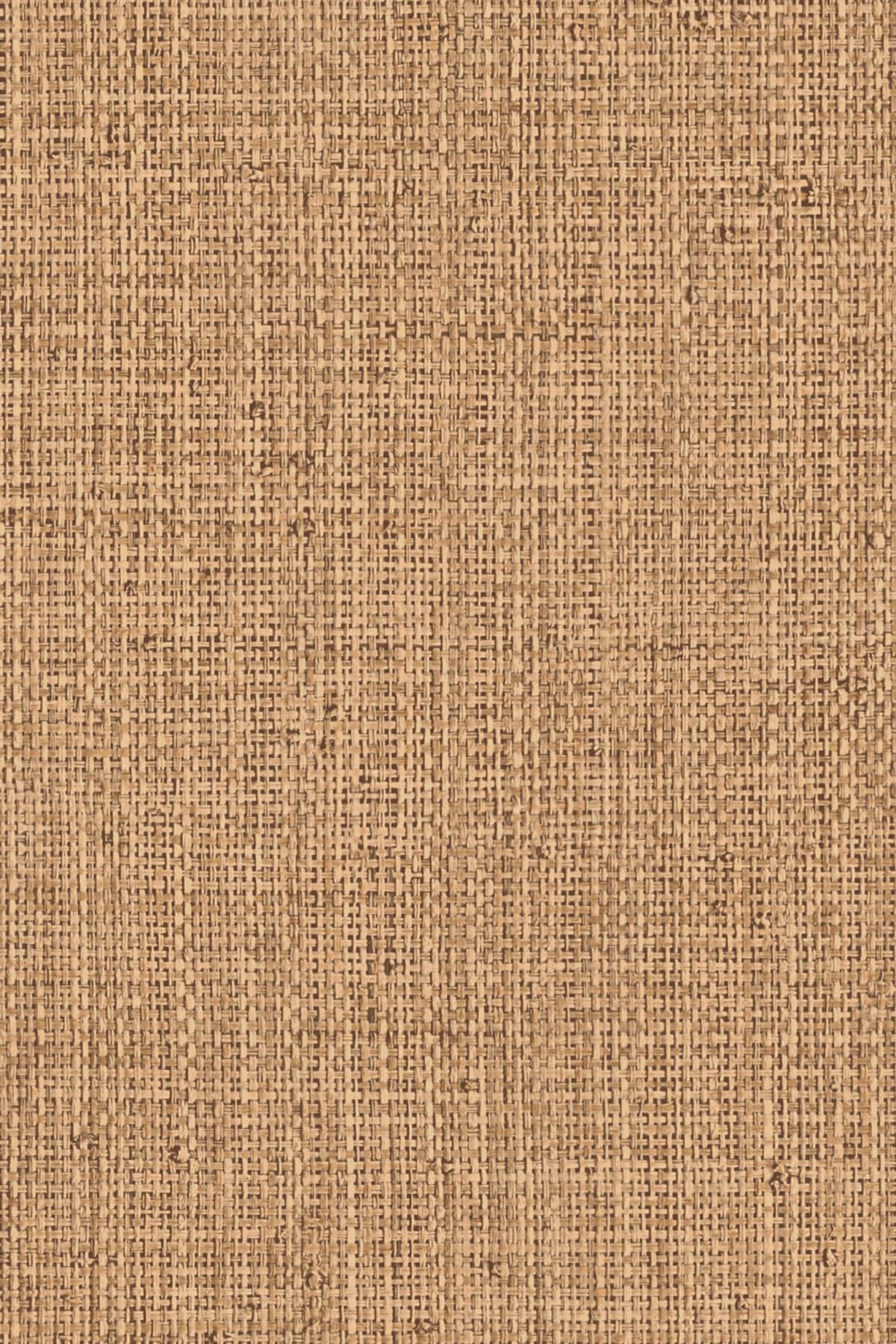 Arte Nongo 10
