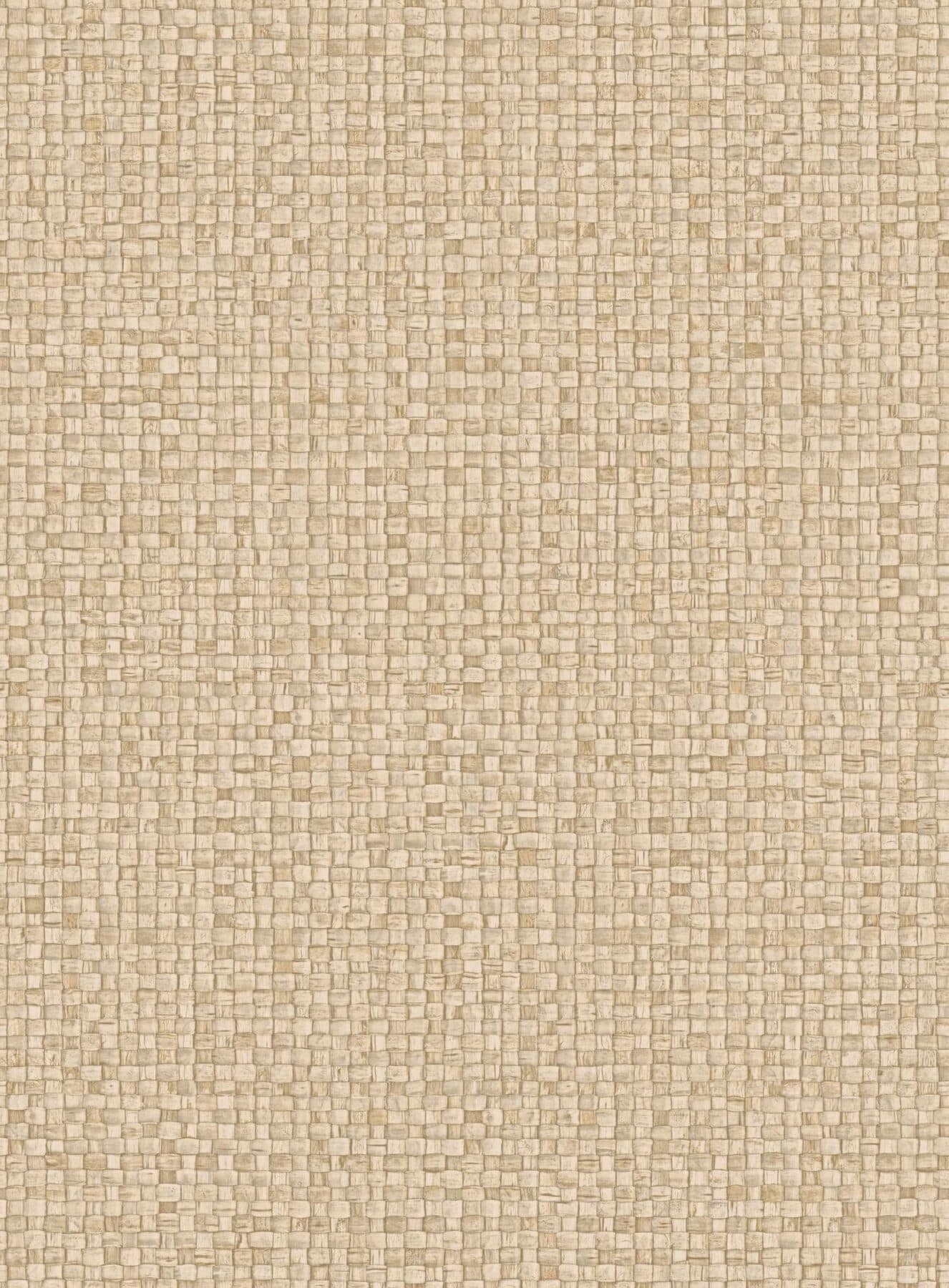 Arte Puna 5