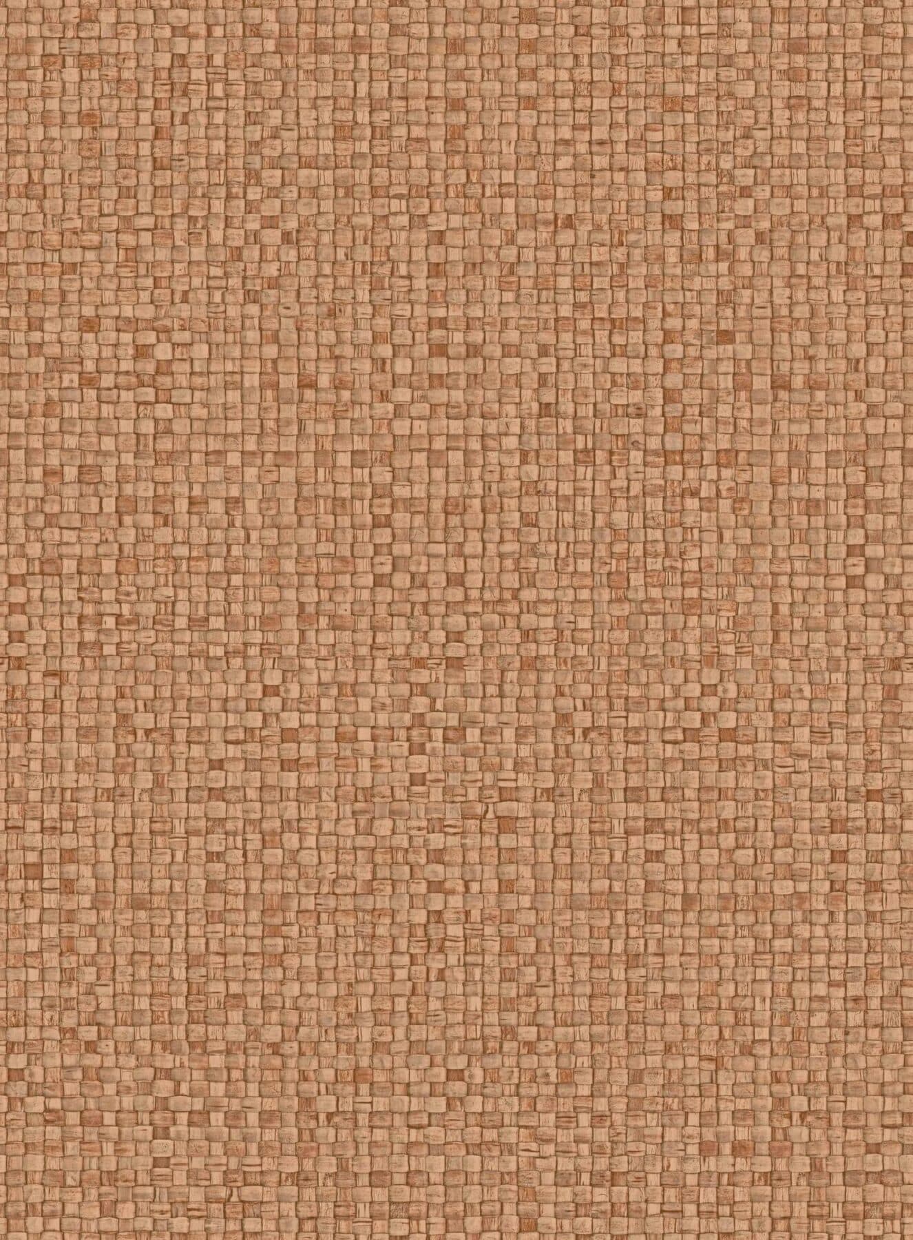 Arte Puna 6