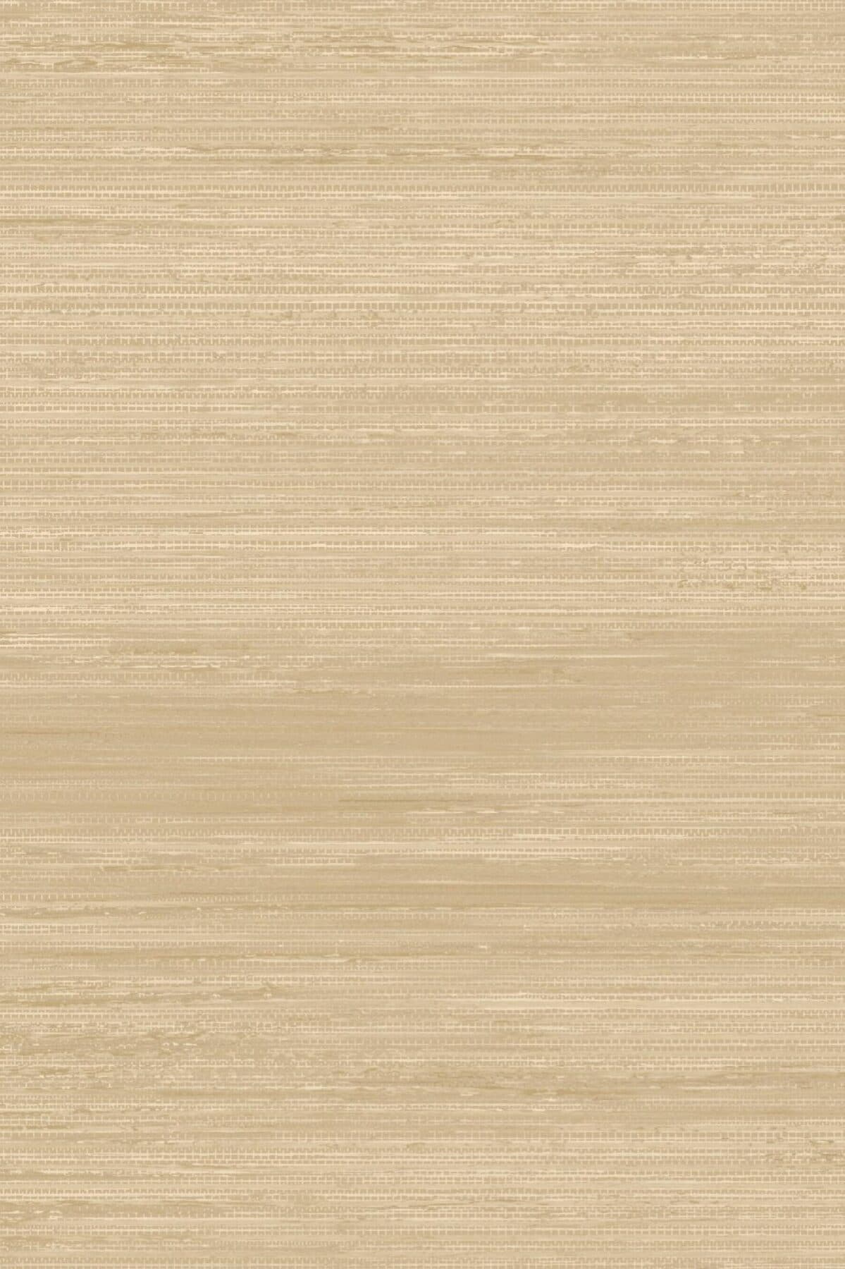 Arte Allagi 6