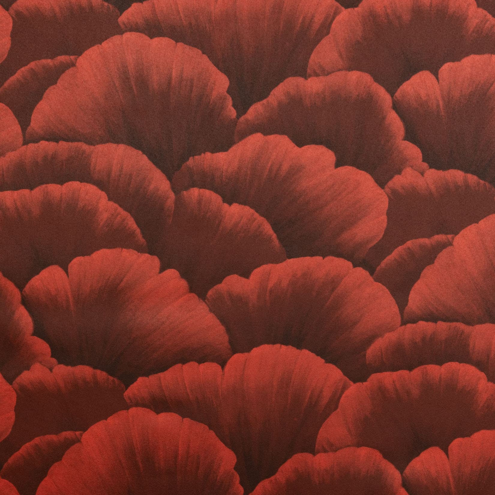 Koroseal Fleur II 8
