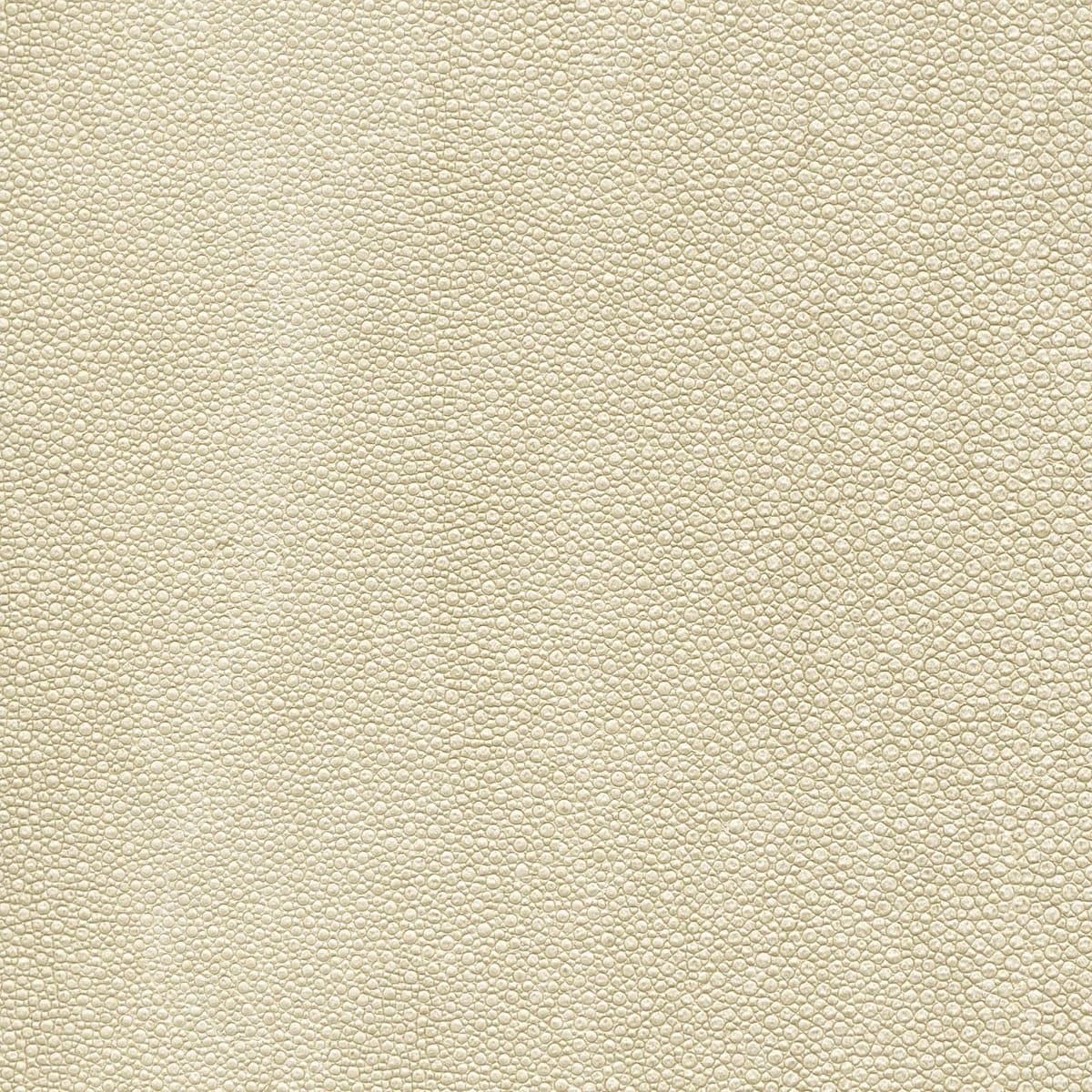 Koroseal Tiburon Shagreen 3