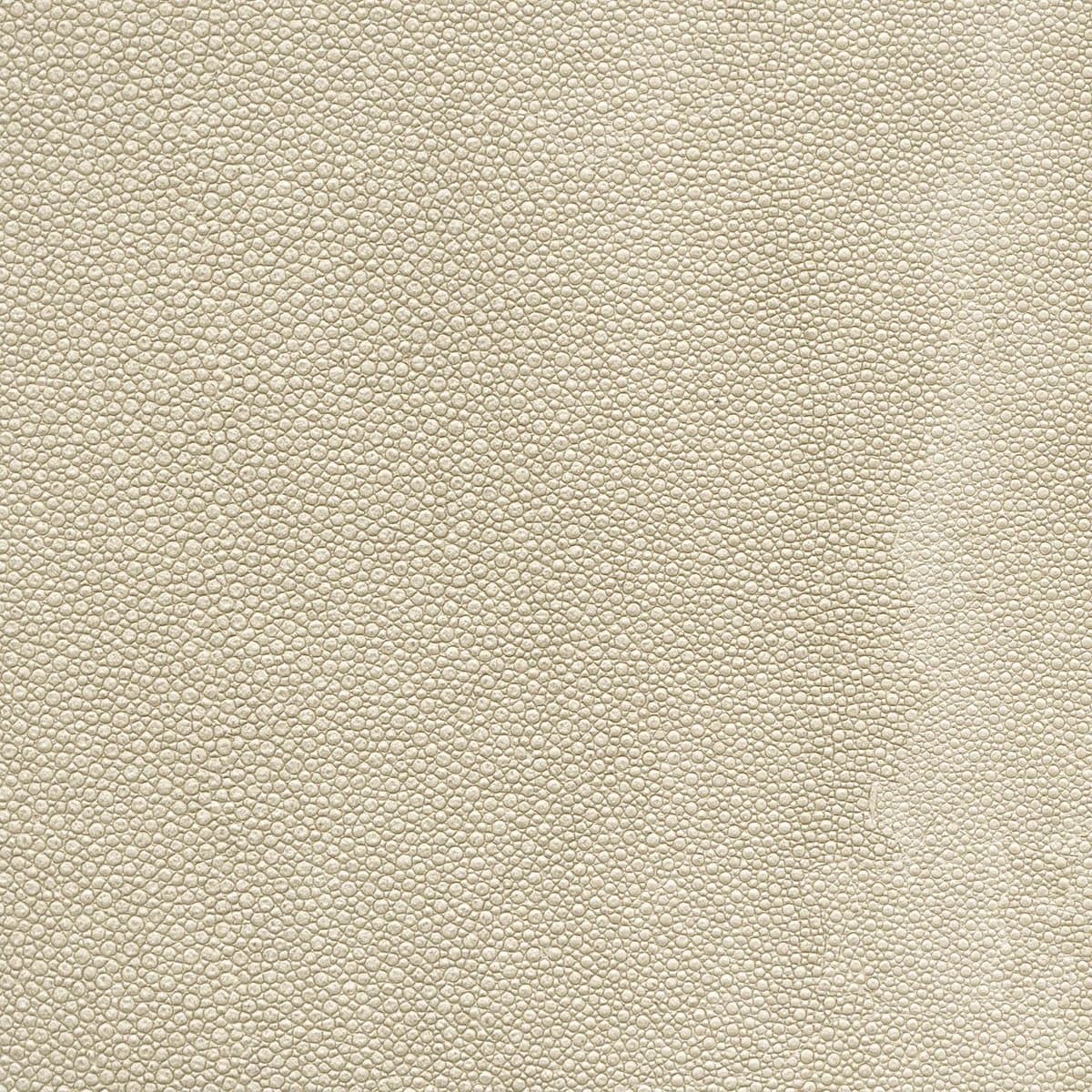 Koroseal Tiburon Shagreen 2