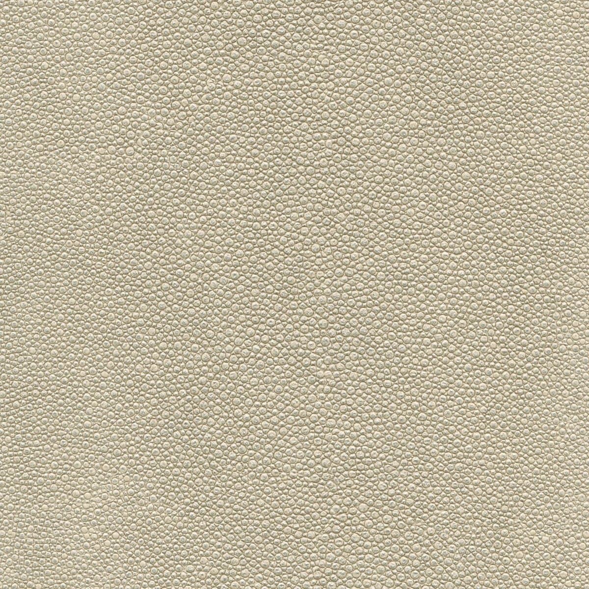 Koroseal Tiburon Shagreen 14