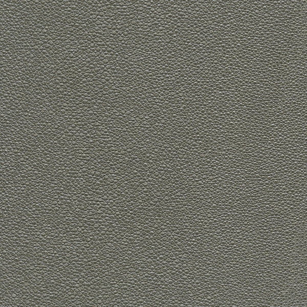 Koroseal Tiburon Shagreen 6