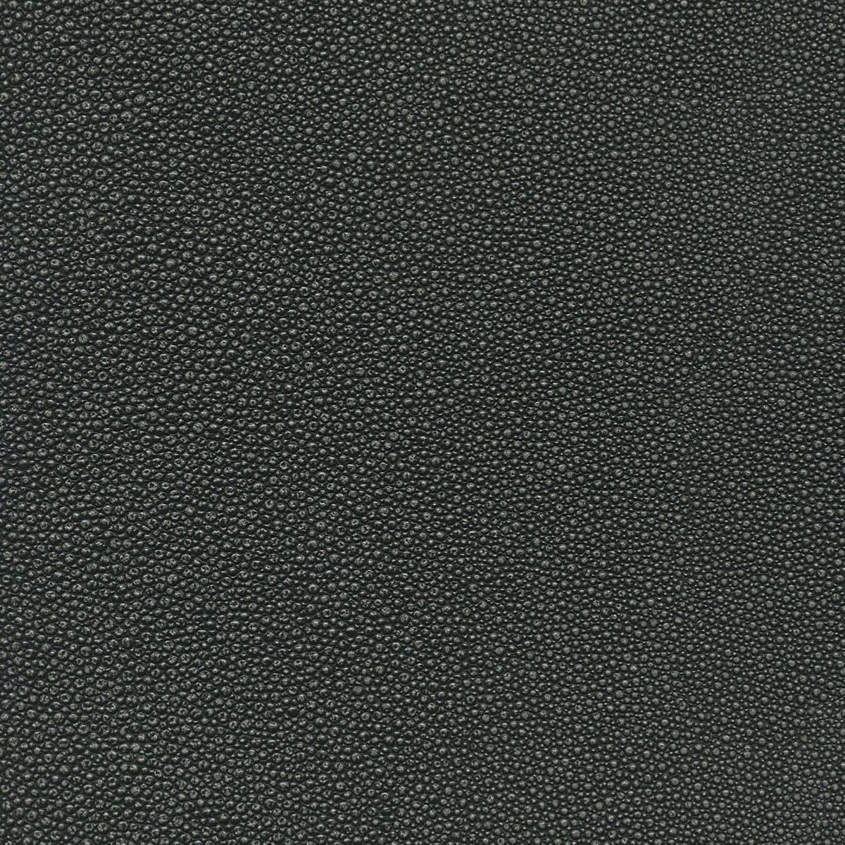 Koroseal Tiburon Shagreen 4
