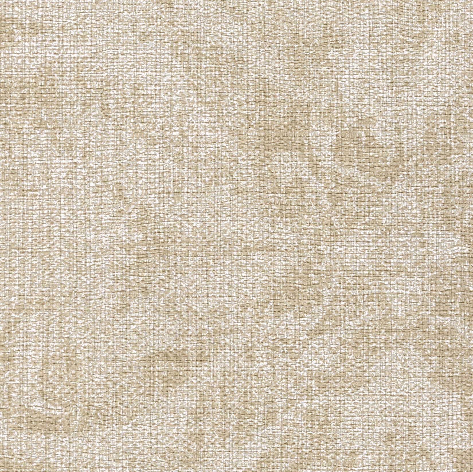 Koroseal Washed Medallion 6