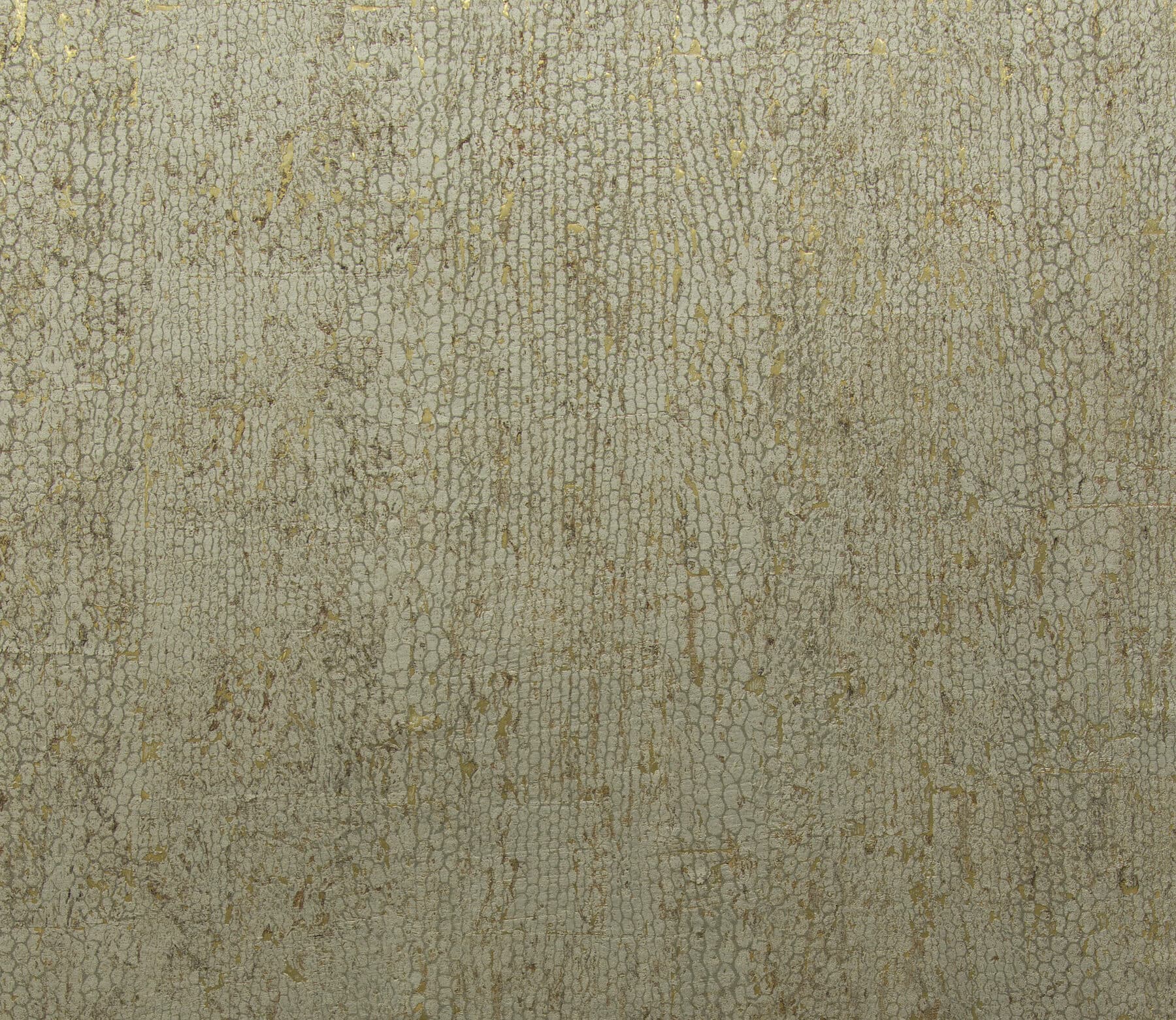 Omexco Cobra — CA24 3