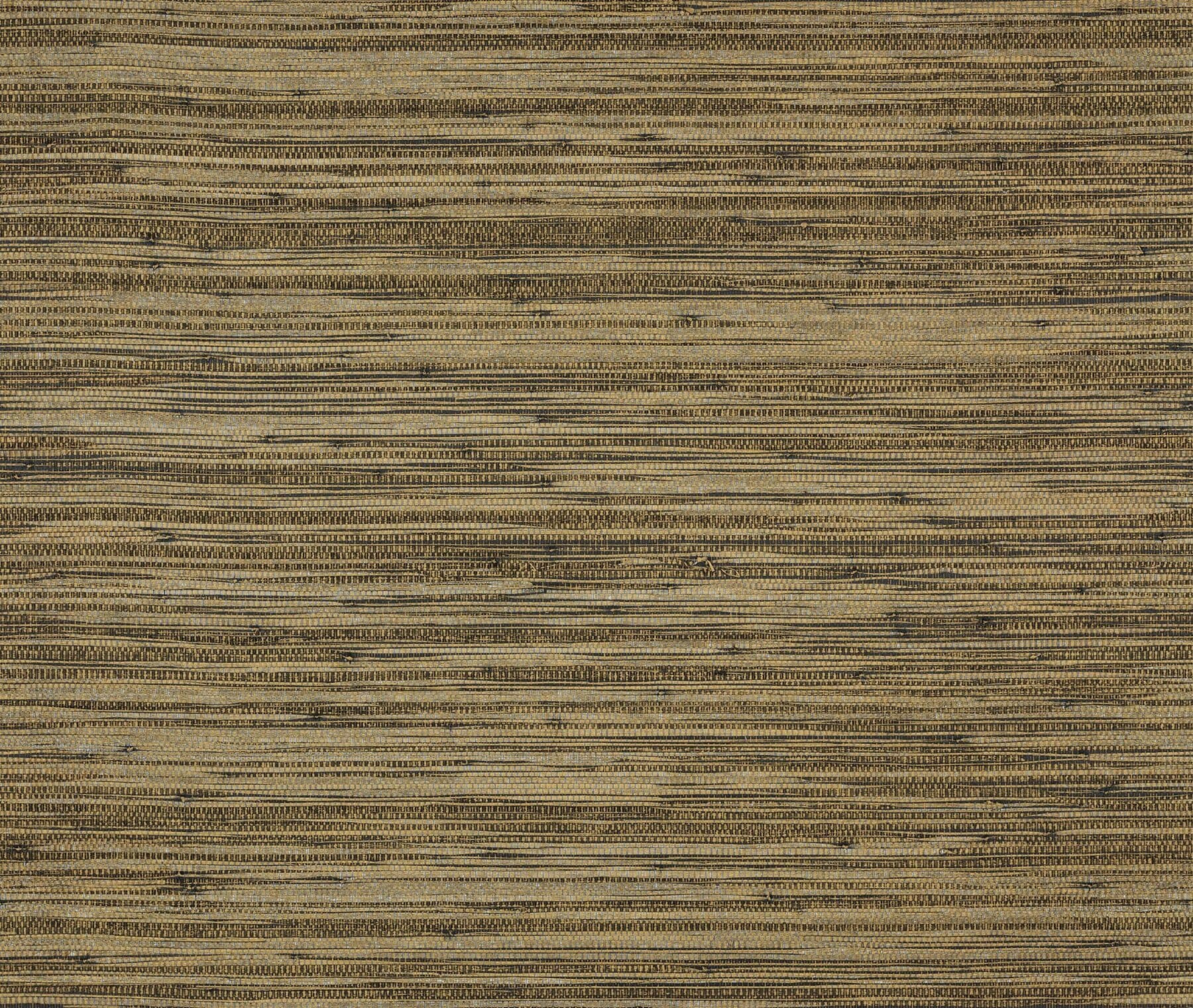 Omexco Cobra — CA41 5