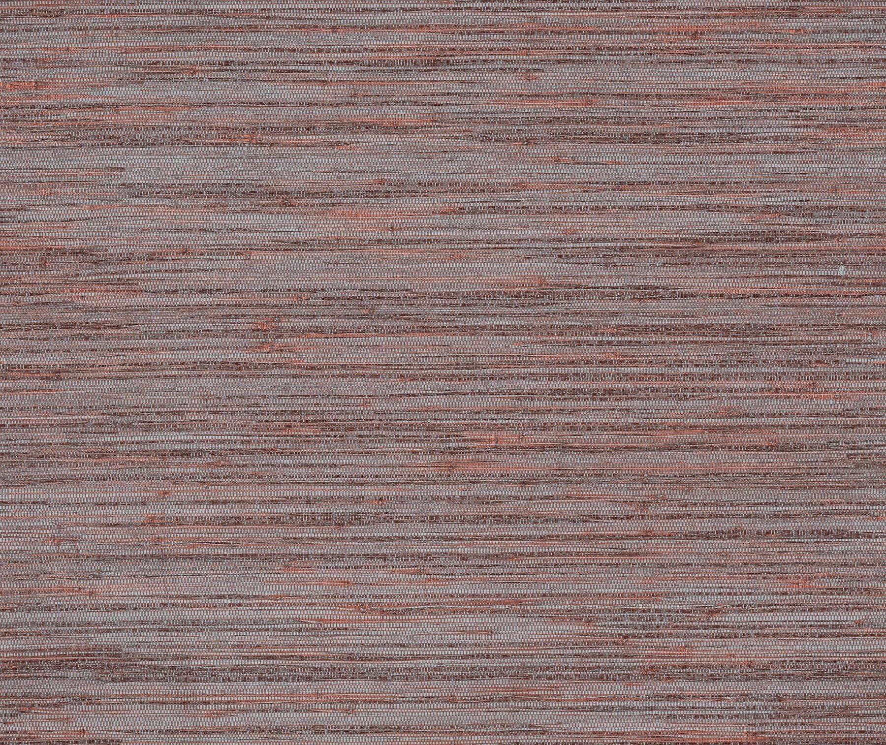 Omexco Cobra — CA41 6