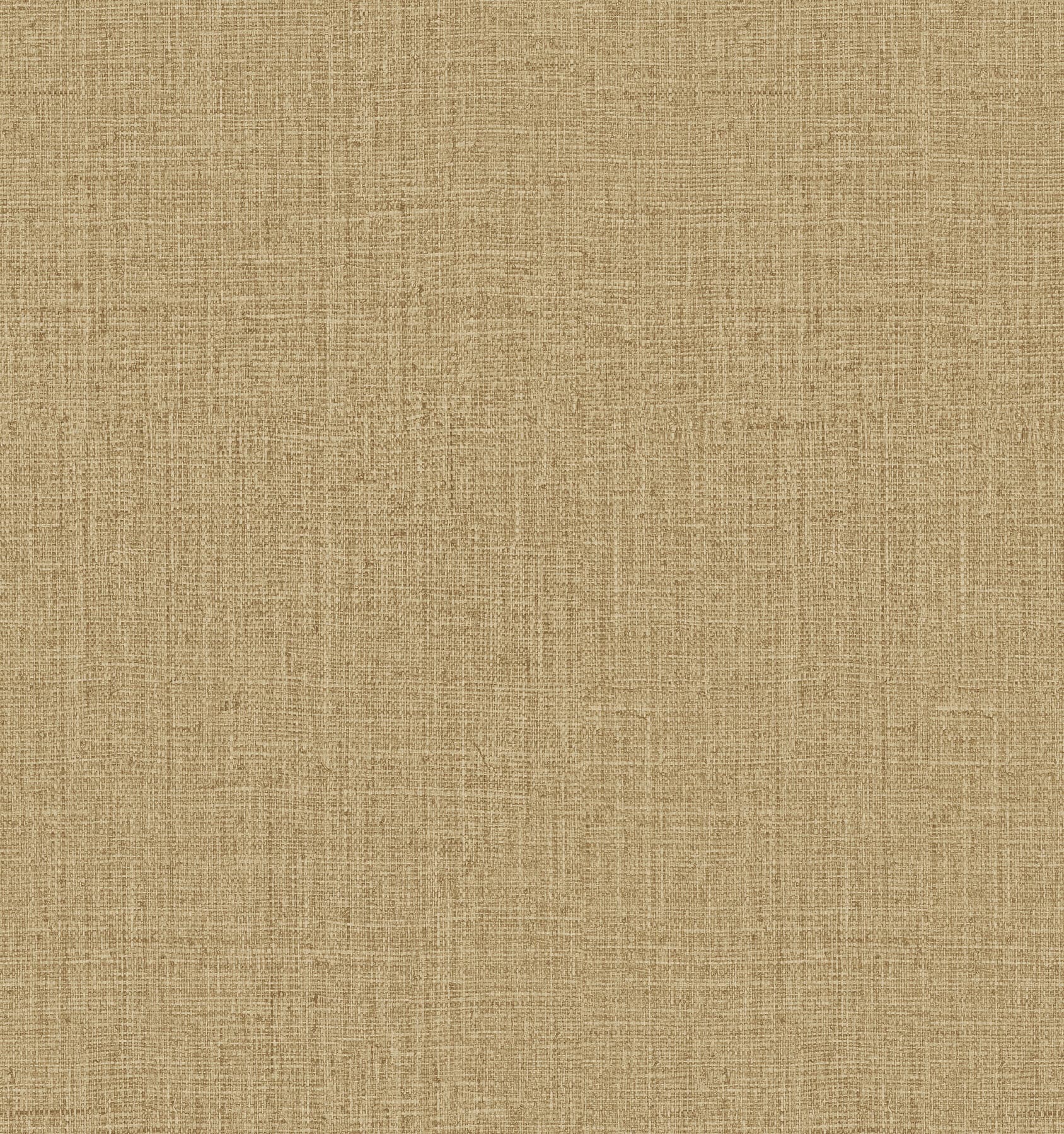 Omexco Intuition — INT242 4