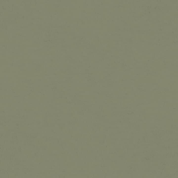 Parget Skog Olive Textured Wallpaper