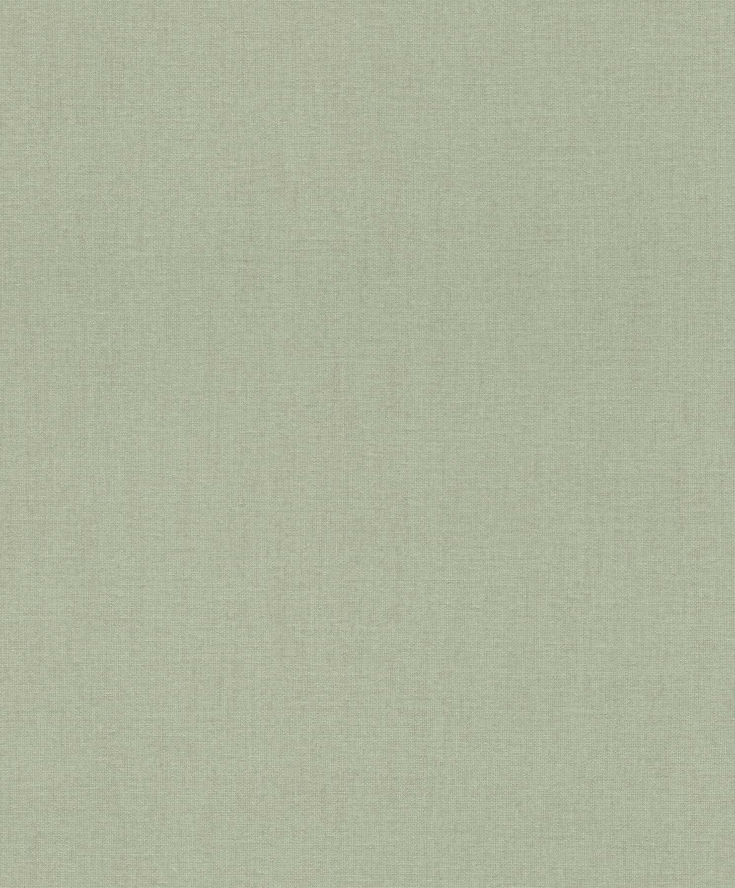 Naim Sage Solid Texture Wallpaper