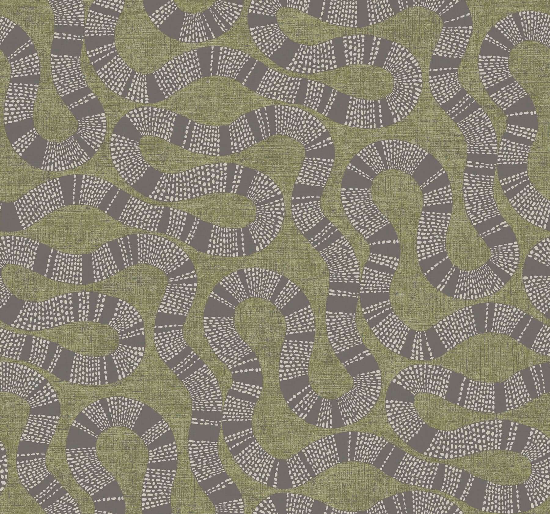 Ophidia- Olive