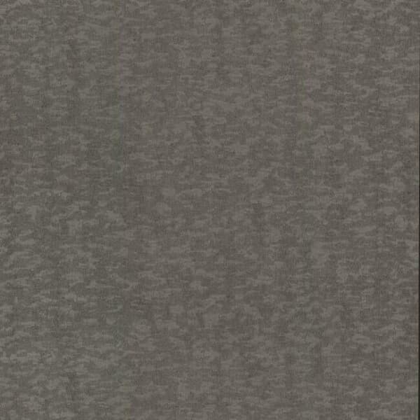 Weathered Cypress Wallpaper- Warm Silver