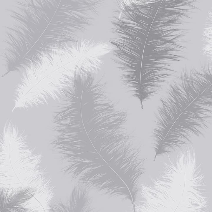 Sussurro Grey Feathers Wallpaper- Arthouse